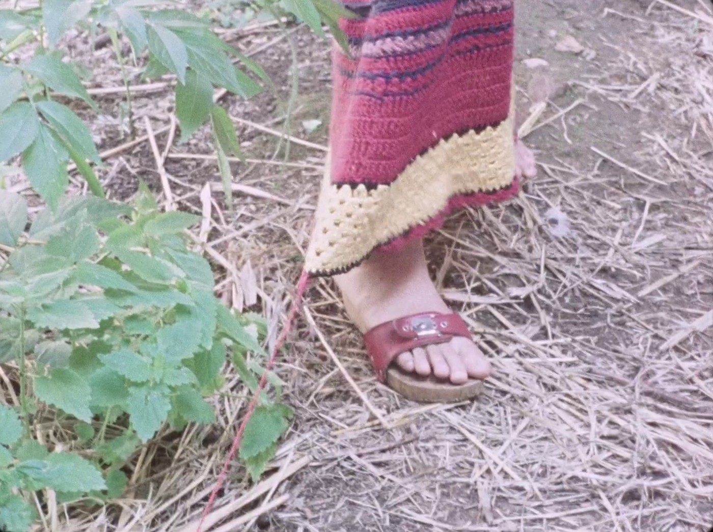 La Chimera (2024) —  shot,  lighting