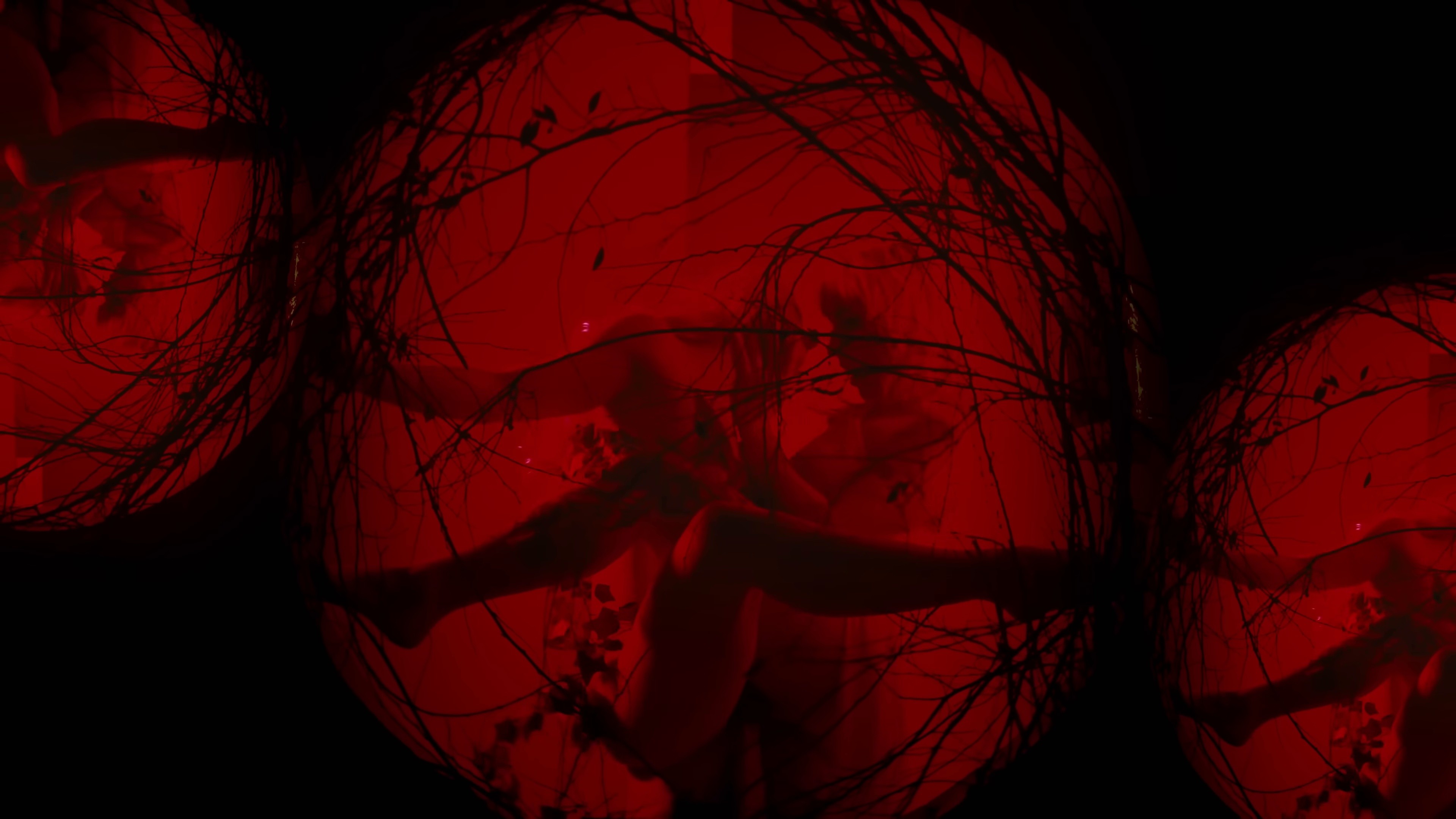 SERPENTINE (2024) —  shot,  lighting