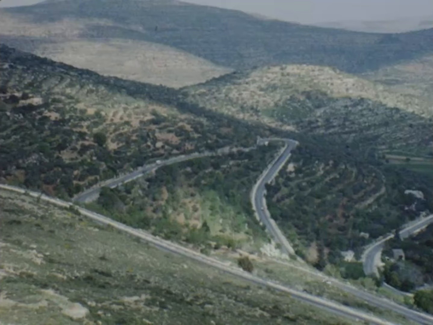 Olive tree (2025) —  shot,  lighting