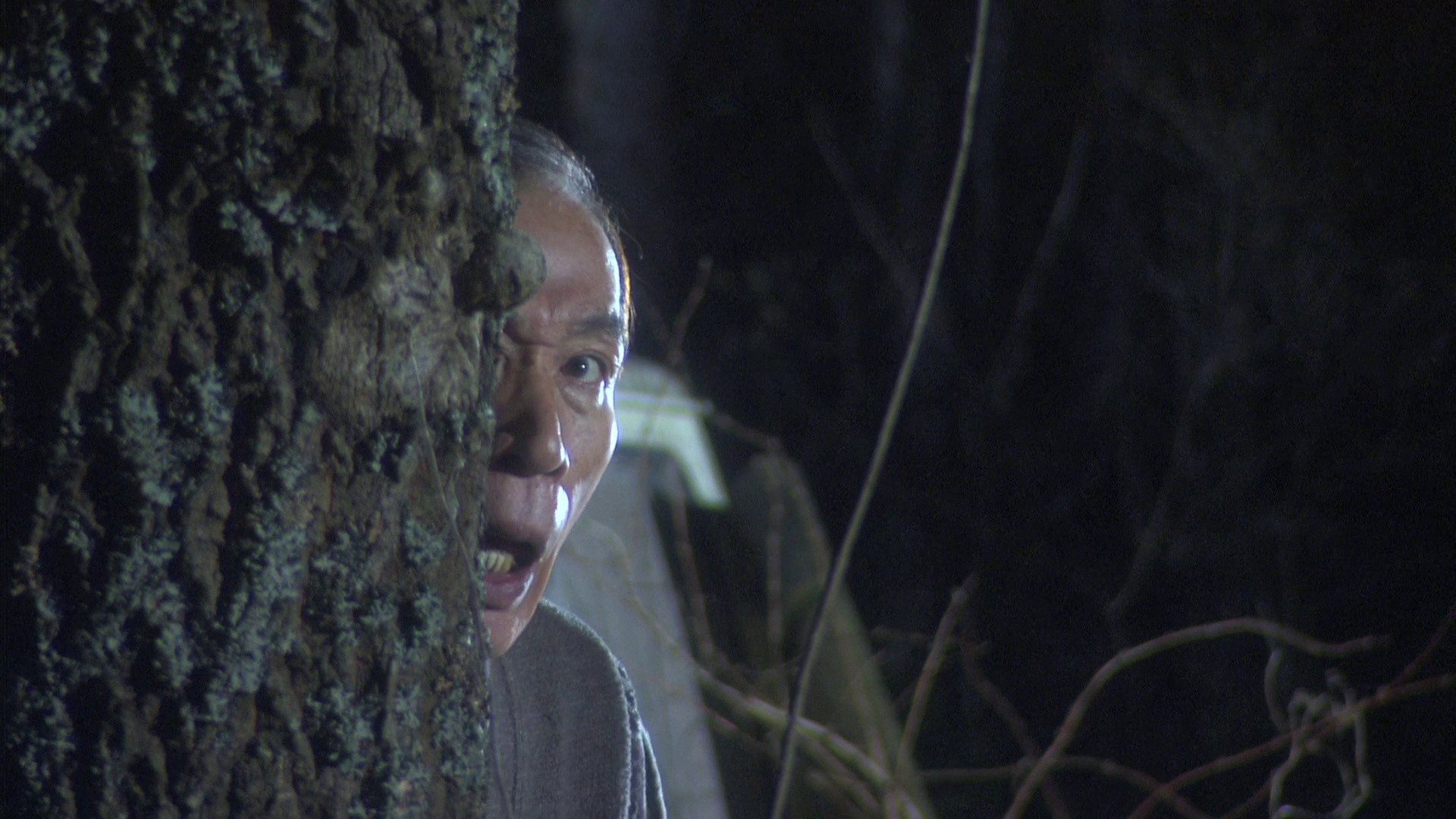 The Happiness of the Katakuris (2001) —  shot,  lighting