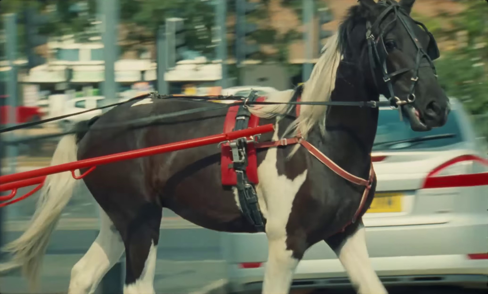 White Wine (2022) —  shot,  lighting