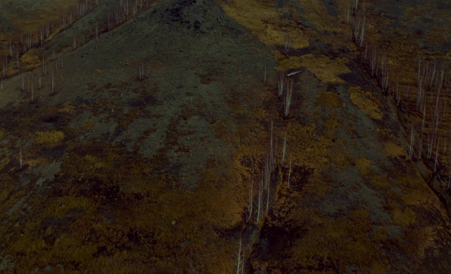 In Limbo (2022) —  shot,  lighting