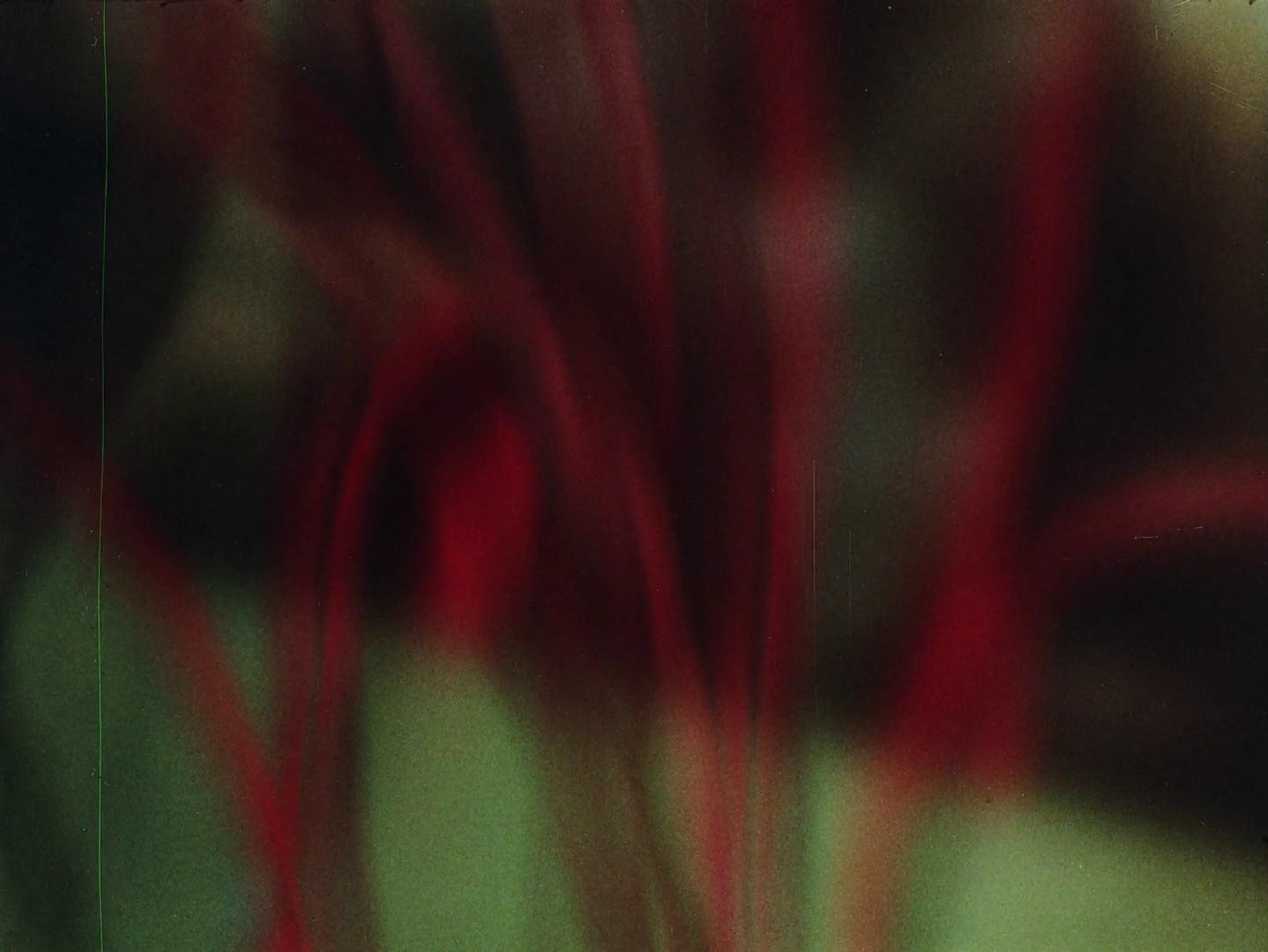 Esquizo (1992) —  shot,  lighting