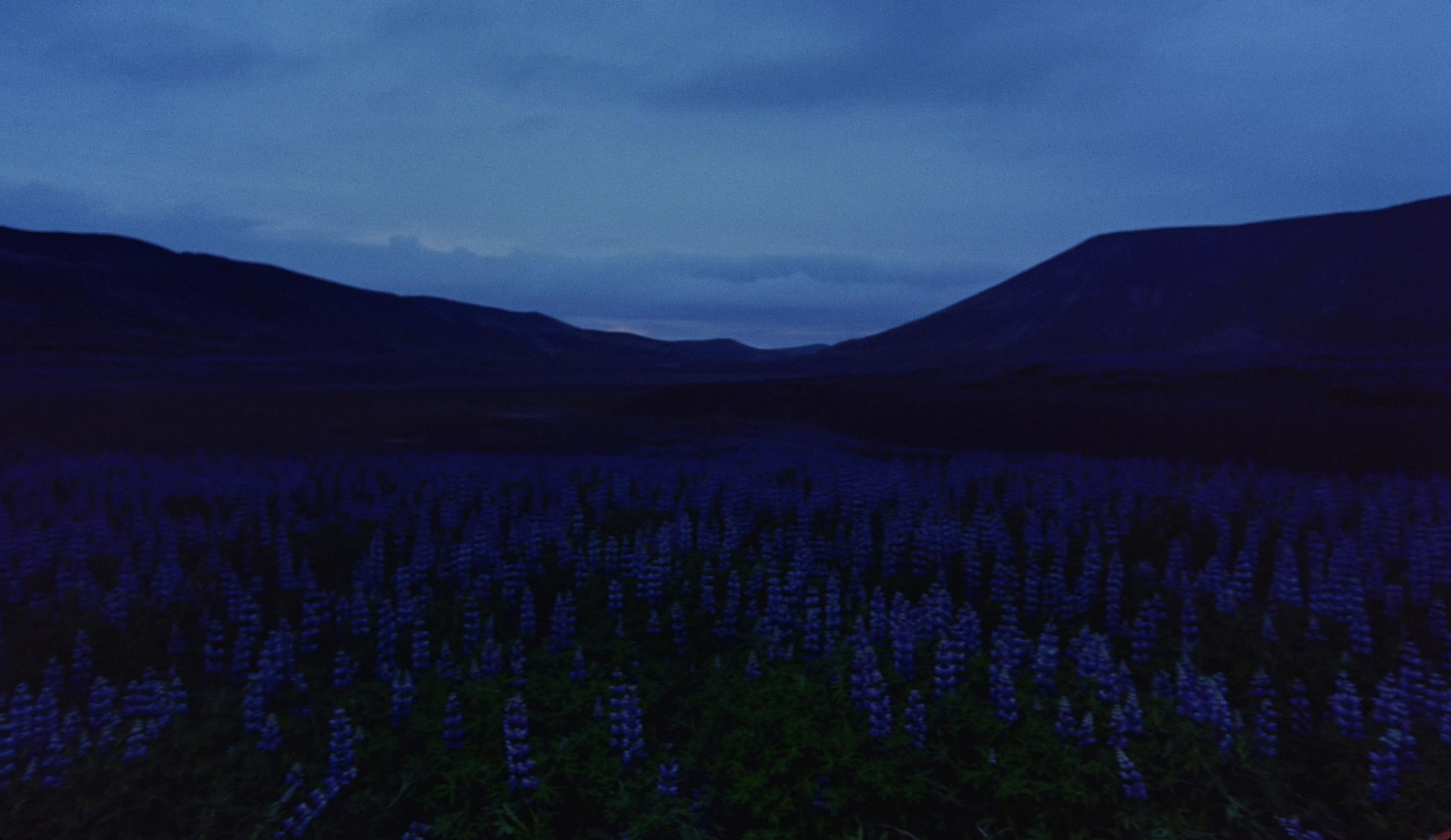 Television Love (2025) —  shot,  lighting