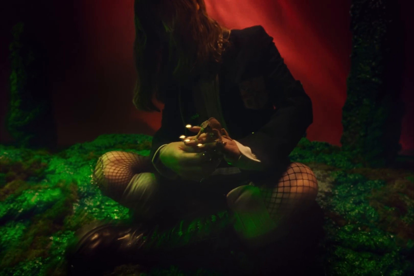 n'as tu jamais vu d'oiseaux?  (Clip Officiel) (2025) —  shot,  lighting