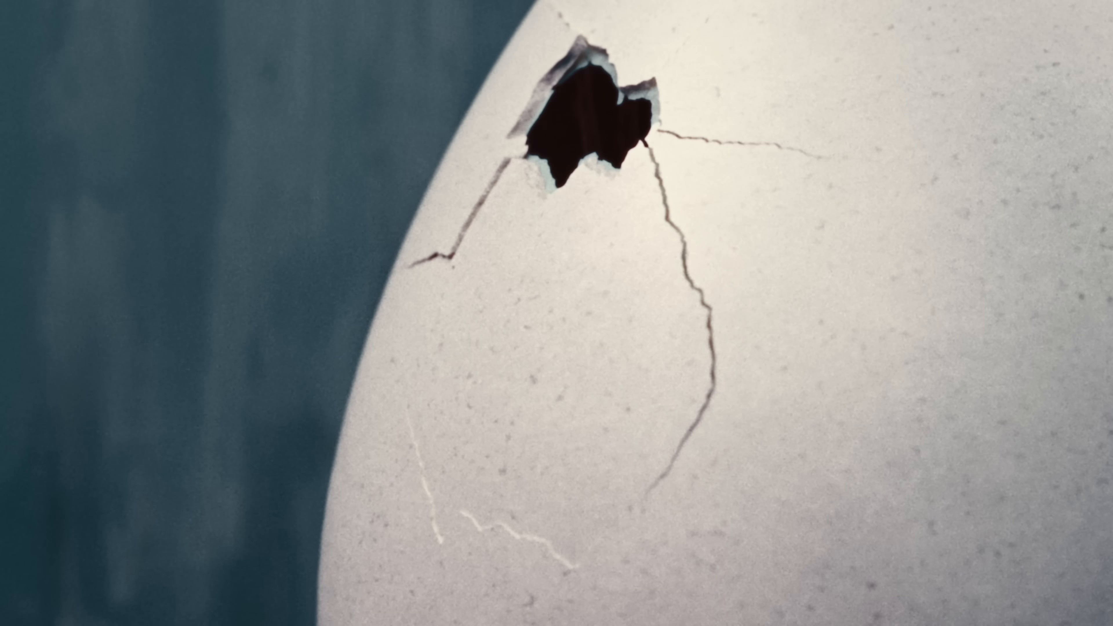 DIY (2025) —  shot,  lighting