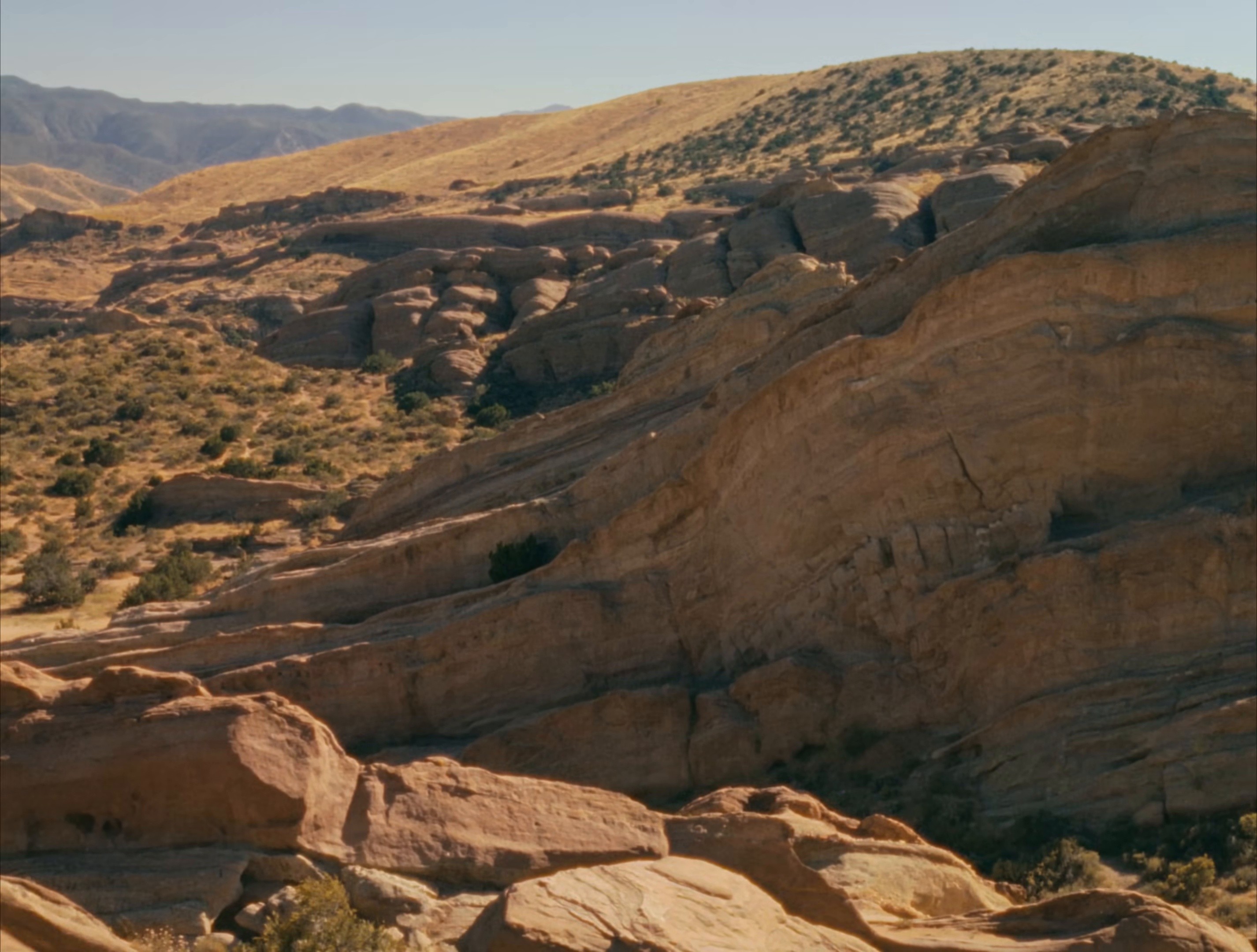 The Architect (2024) —  shot,  lighting