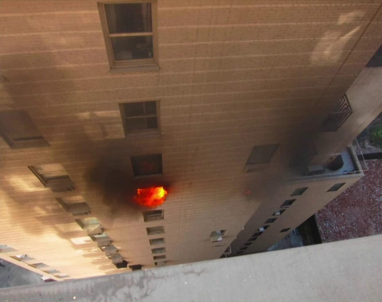 Mercuriales (2014) —  shot,  lighting