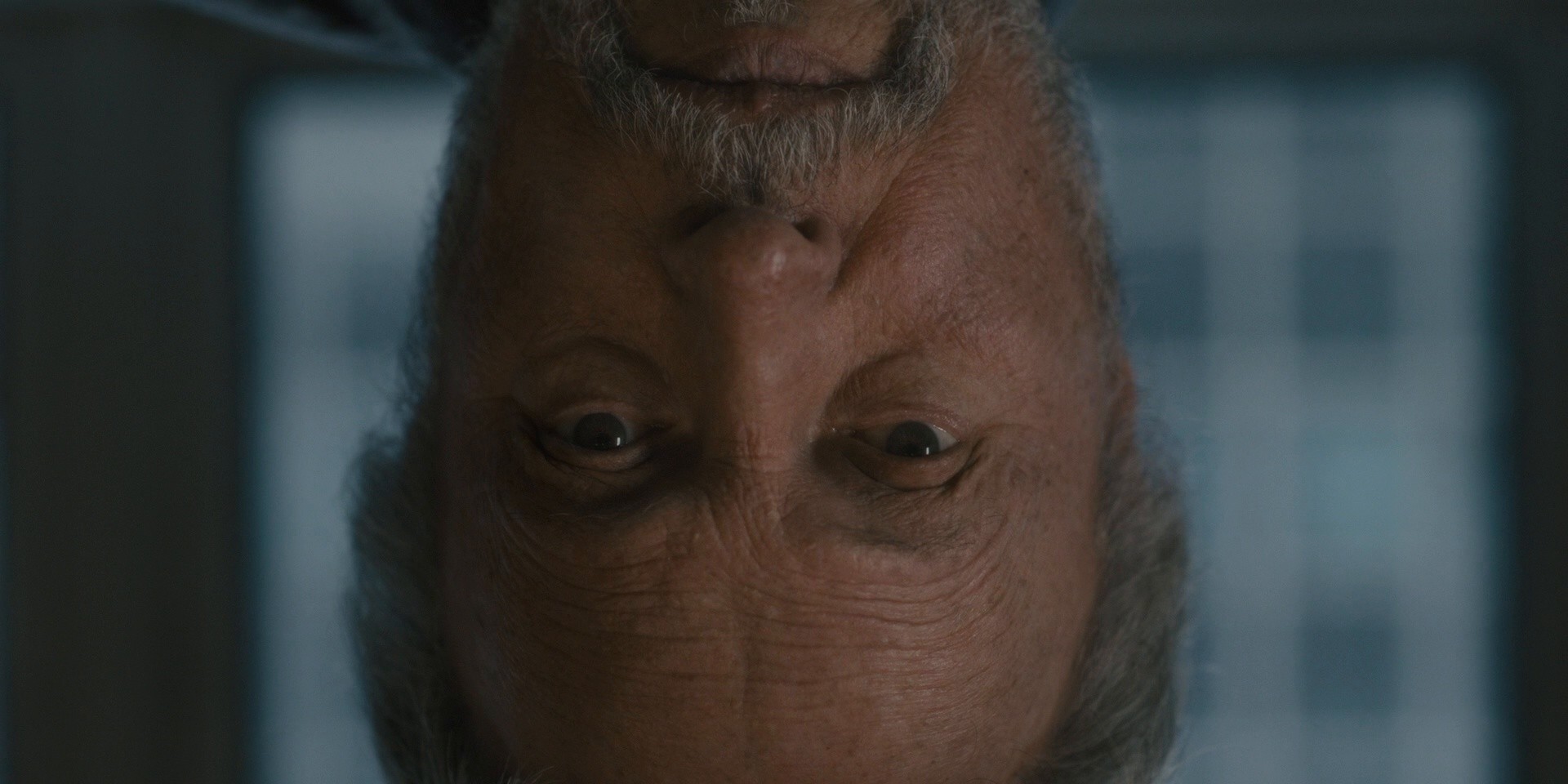 Fever Dream (2024) —  shot,  lighting