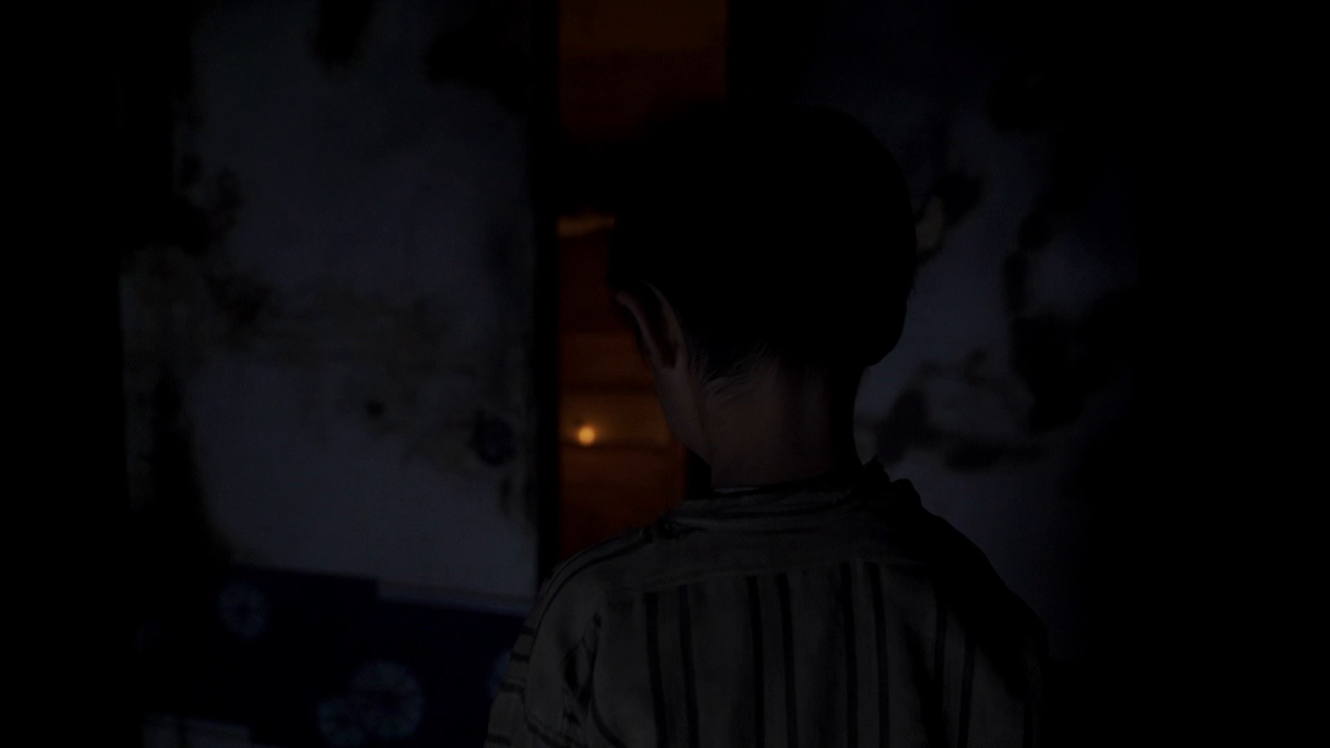 Shadow of Fire (2023) —  shot,  lighting