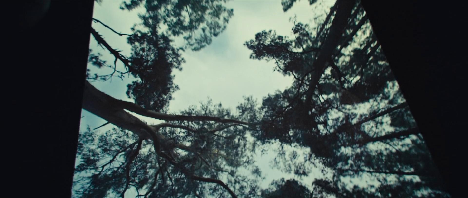 RENAULT - VOYAGE (2025) —  shot,  lighting