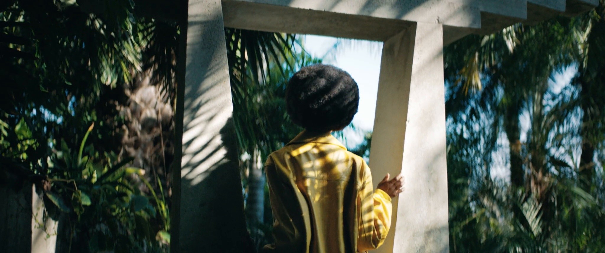 Haze Eyewear (2020) —  shot,  lighting