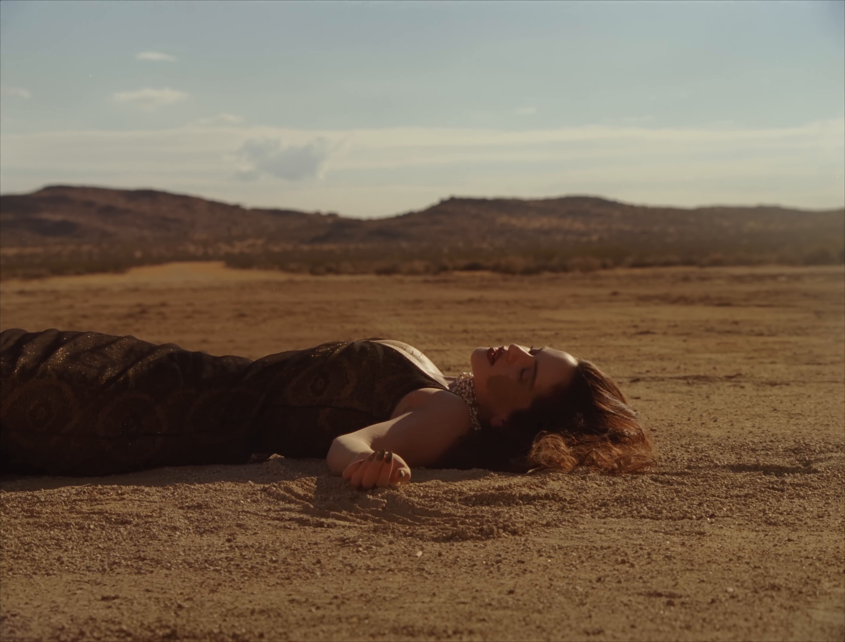 Sauvignon Blanc (2026) —  shot,  lighting