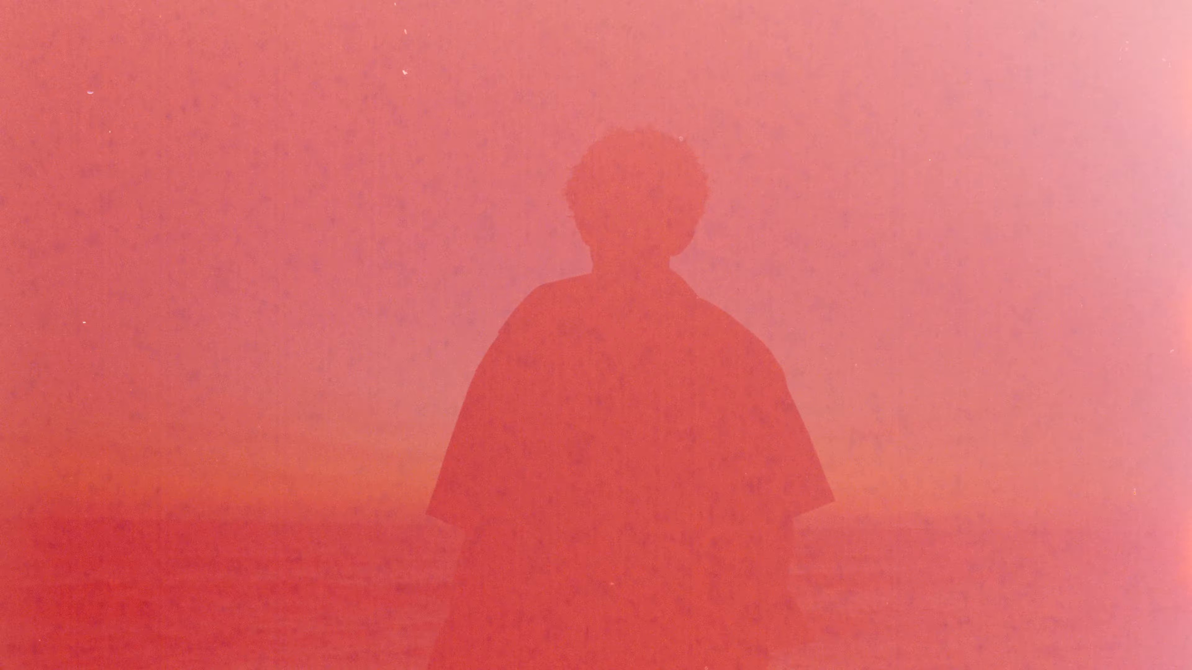 Relaxation (2025) —  shot,  lighting