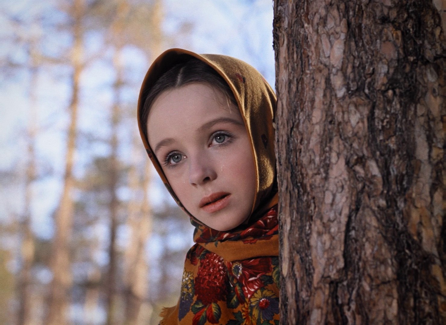 Frosty (1965) —  shot,  lighting