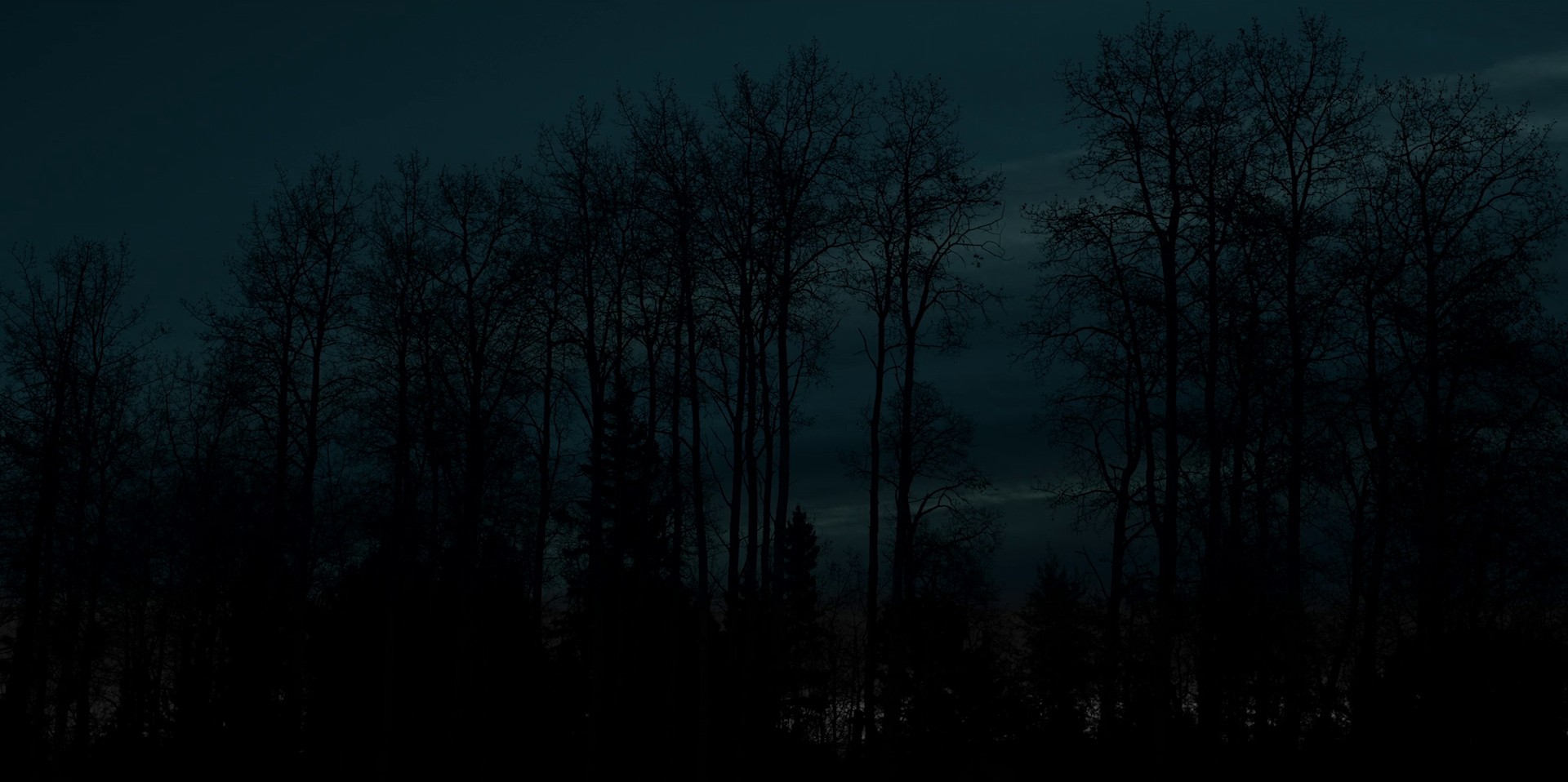 One Mighty and Strong (2022) —  shot,  lighting