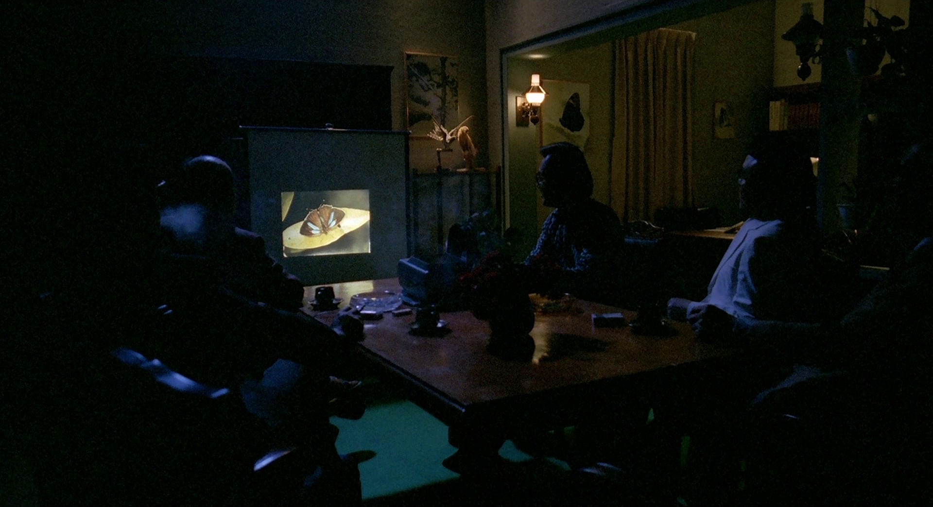 Suddenly in the Dark (1981) —  shot,  lighting