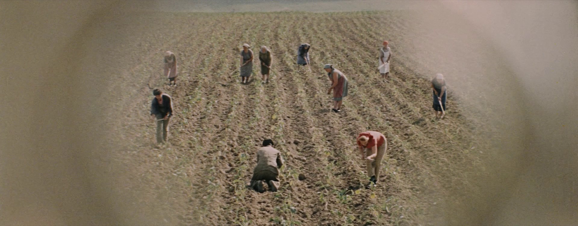 When the Cat Comes (1963) —  shot,  lighting