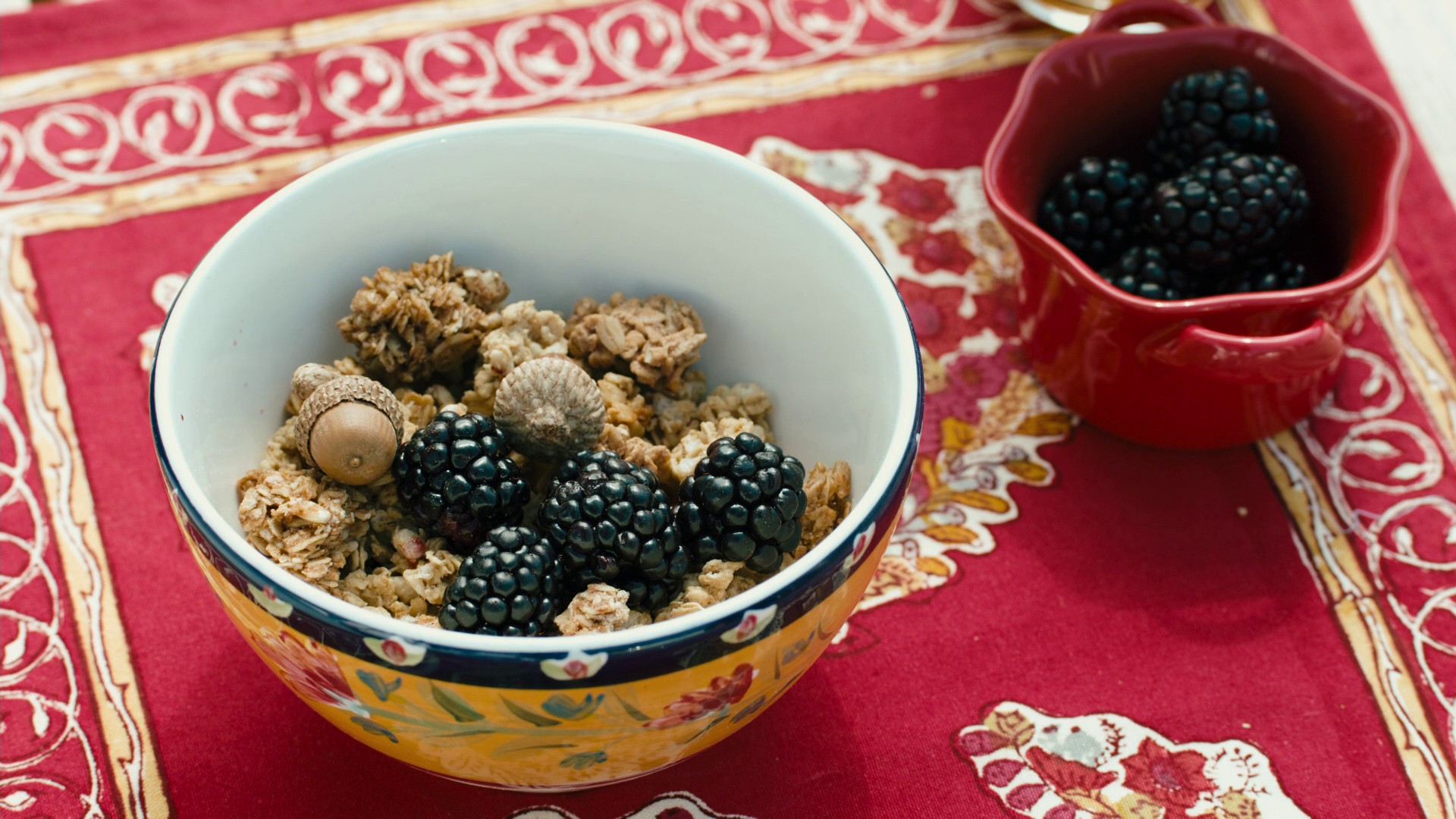 Furry Vengeance (2010) —  shot,  lighting