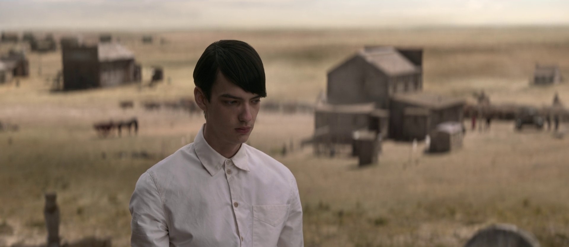 The Power of the Dog (2021) —  shot,  lighting