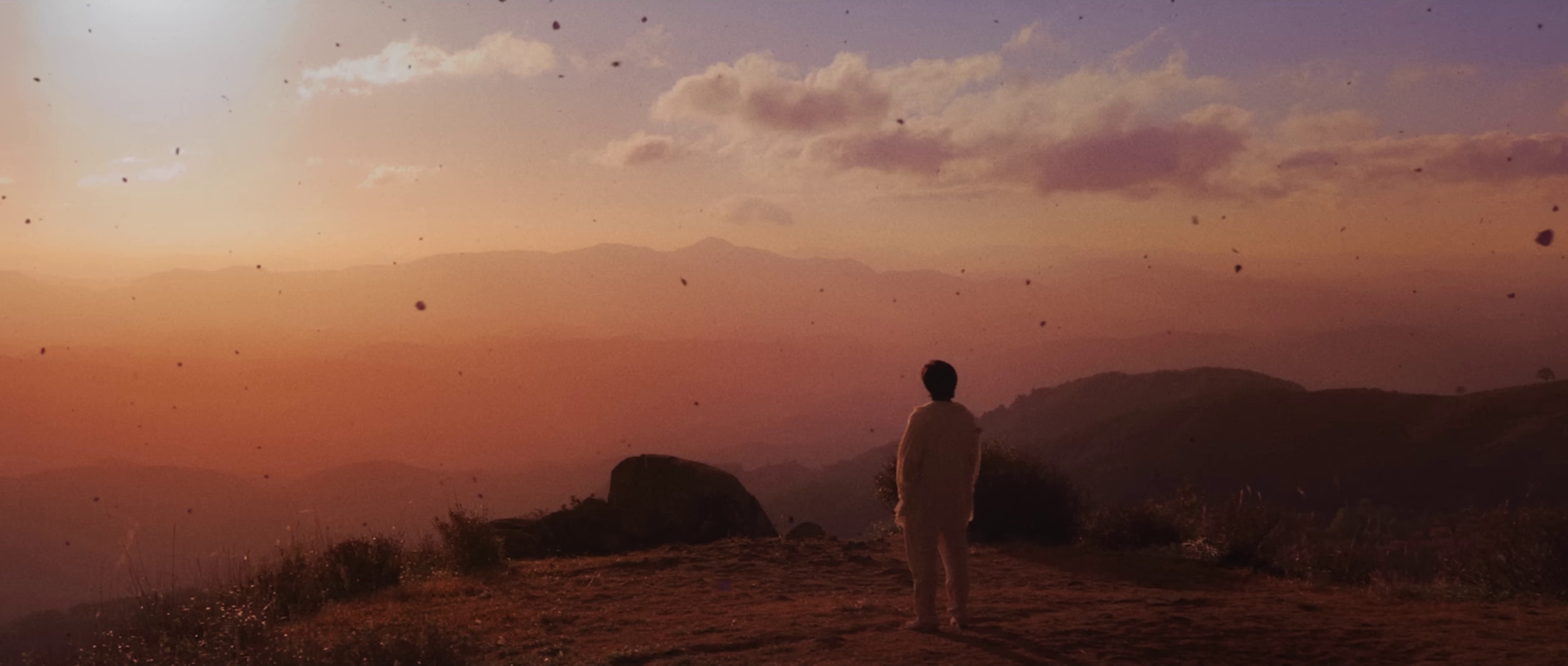 Wild Flower (2022) —  shot,  lighting