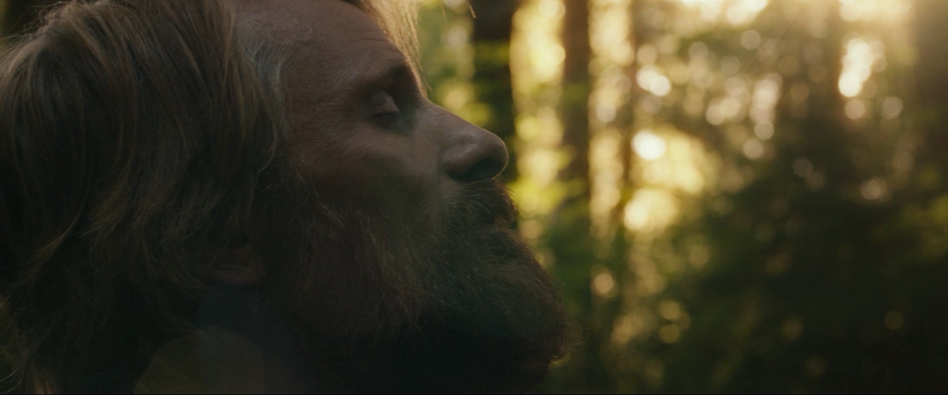 Captain Fantastic (2016) —  shot,  lighting