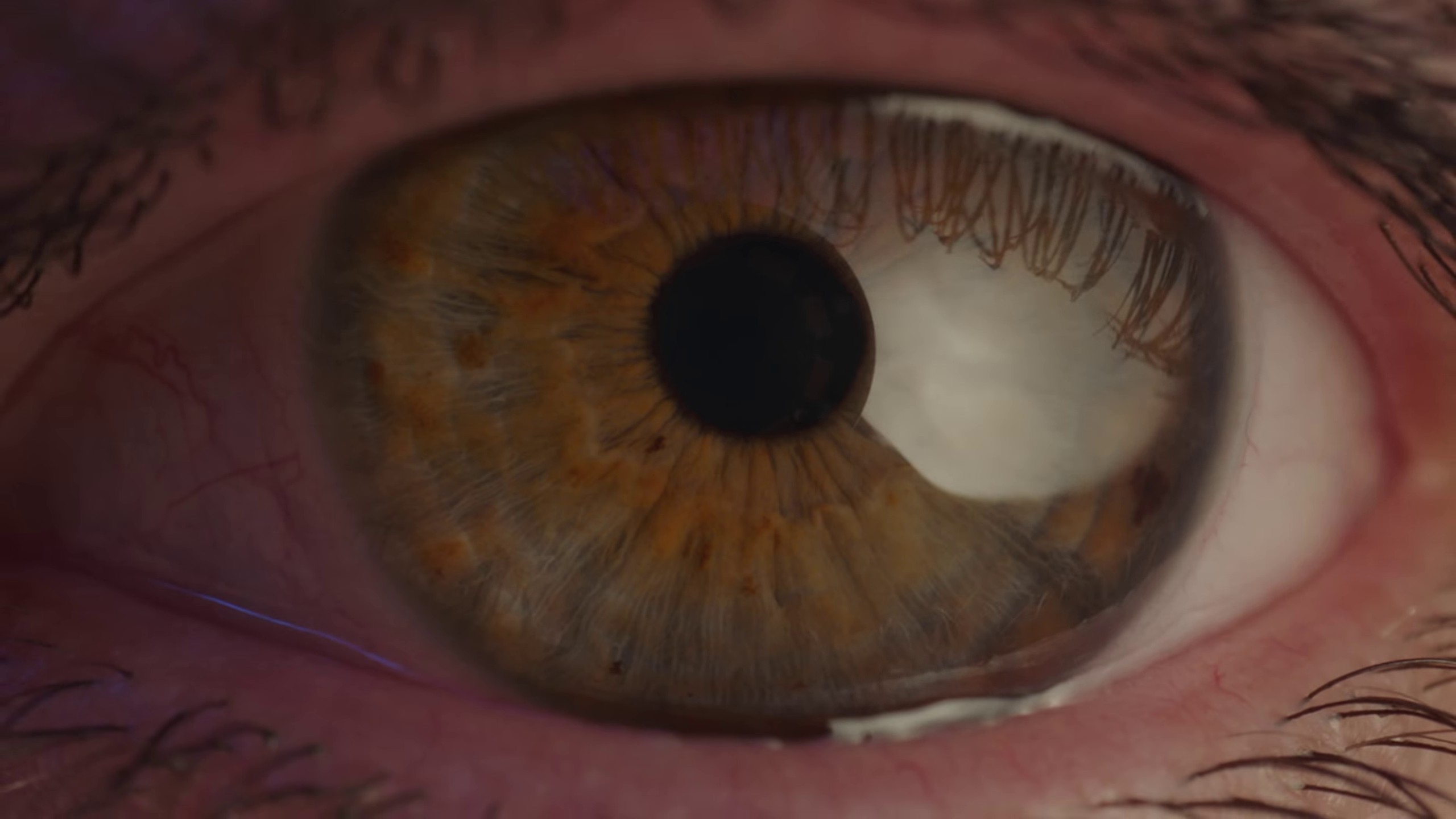 Firefly (2022) —  shot,  lighting