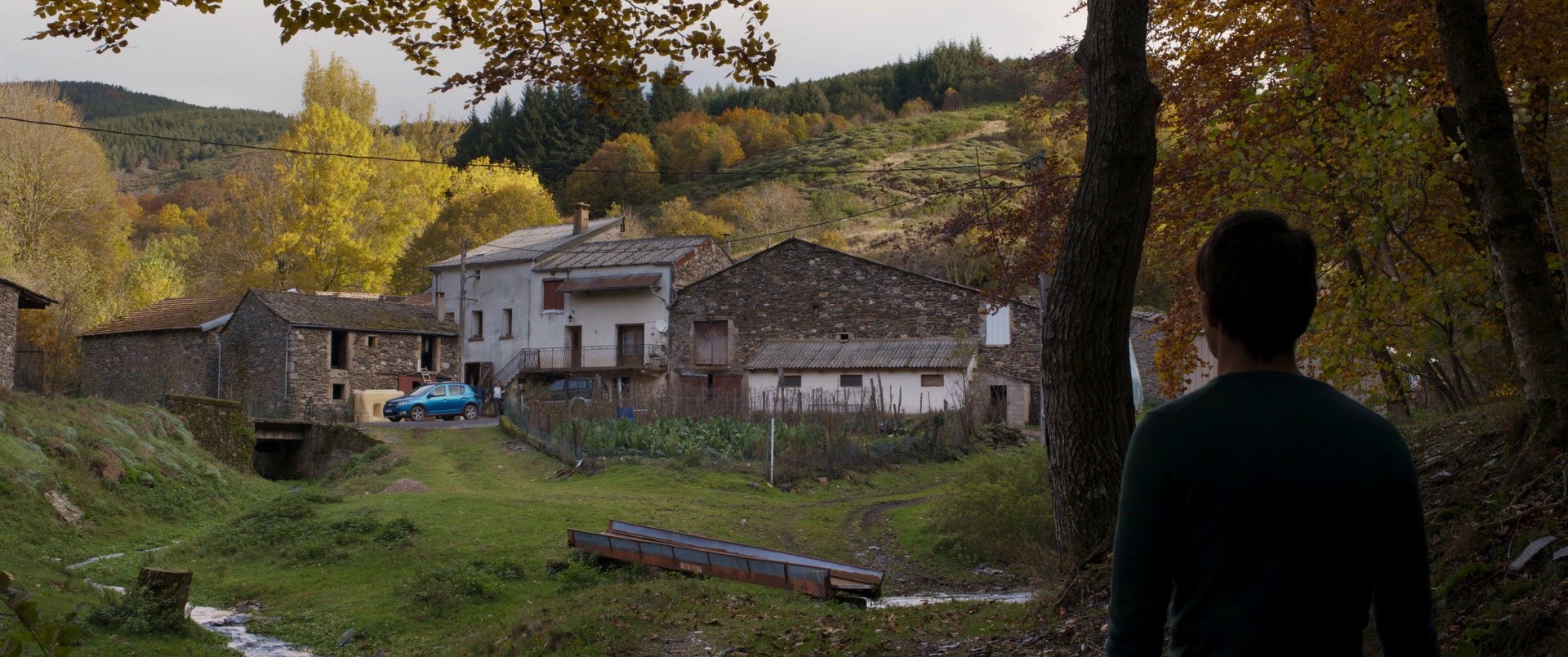 Misericordia (2025) —  shot,  lighting