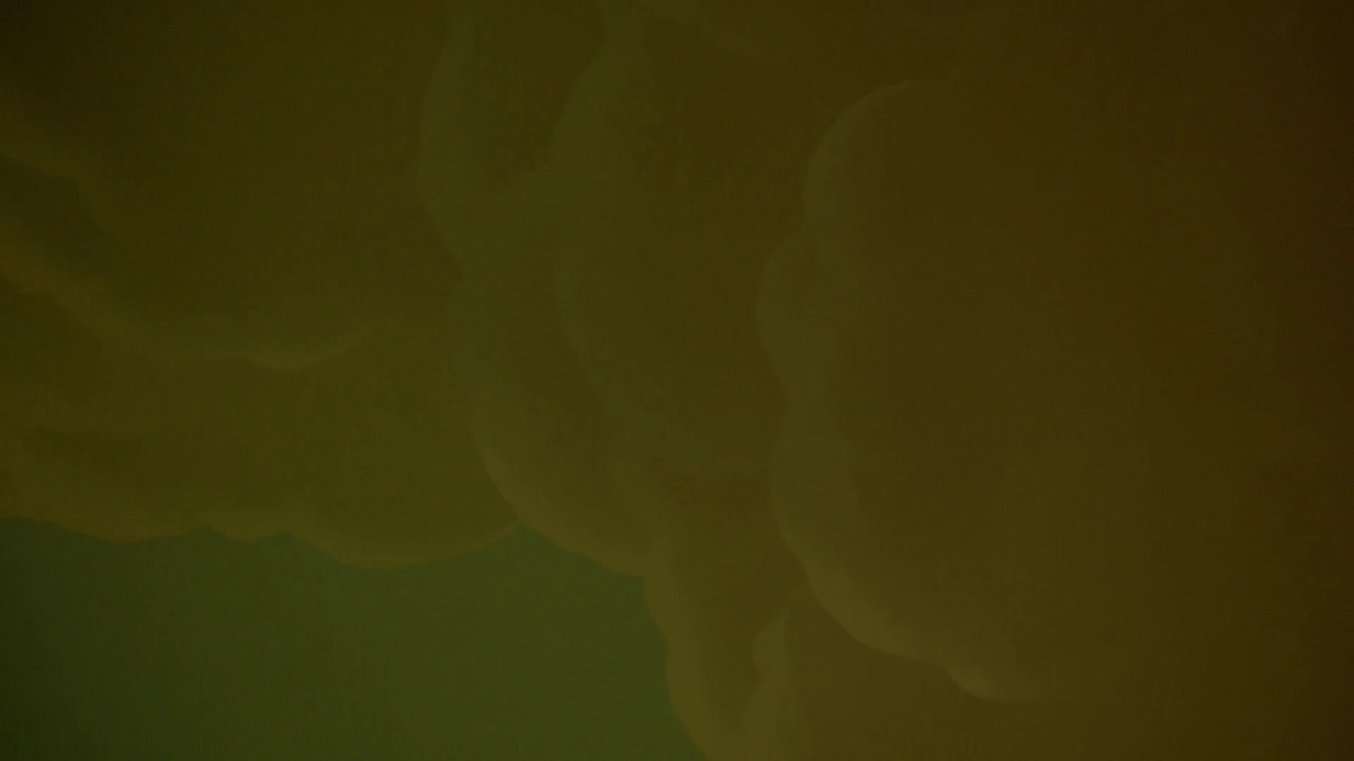 The Man Who Would Be Vogue (2018) —  shot,  lighting