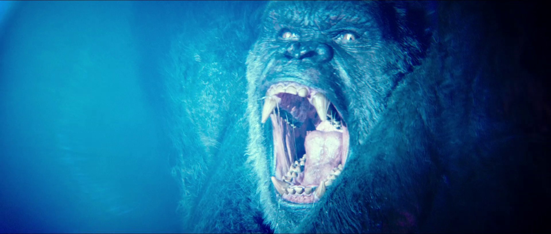 Godzilla vs. Kong (2021) —  shot,  lighting