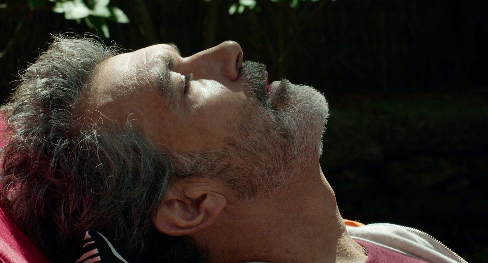 Pain and Glory (2019) —  shot,  lighting