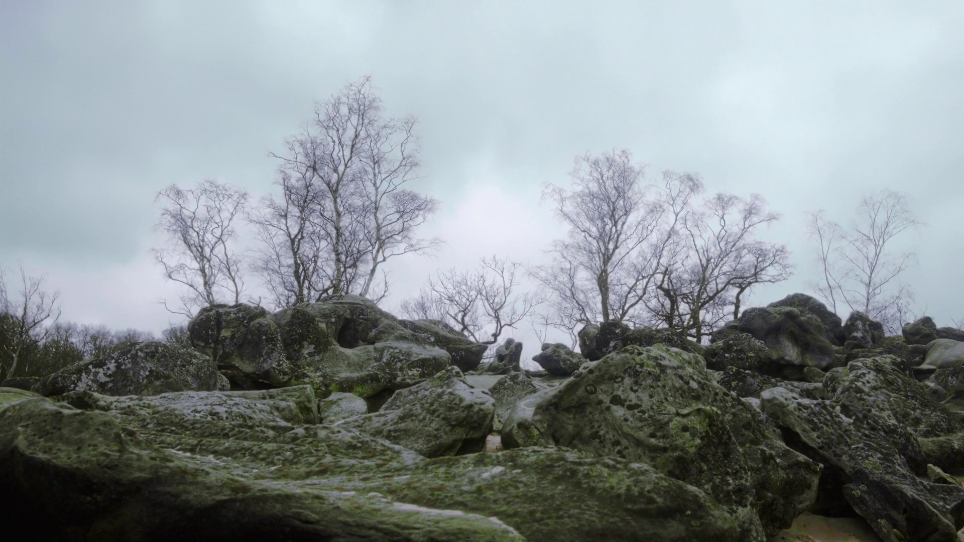 What Holds (2022) —  shot,  lighting