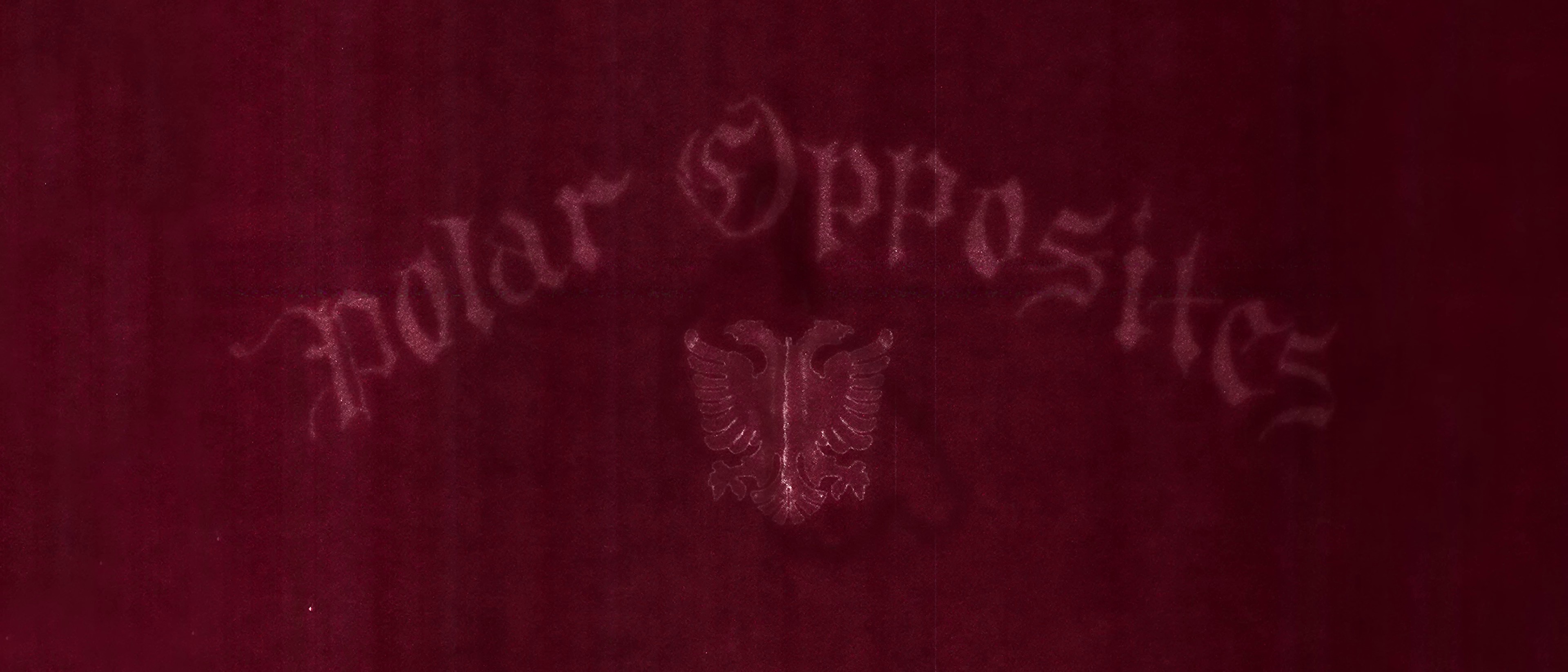 Polar Opposites (2023) —  shot,  lighting