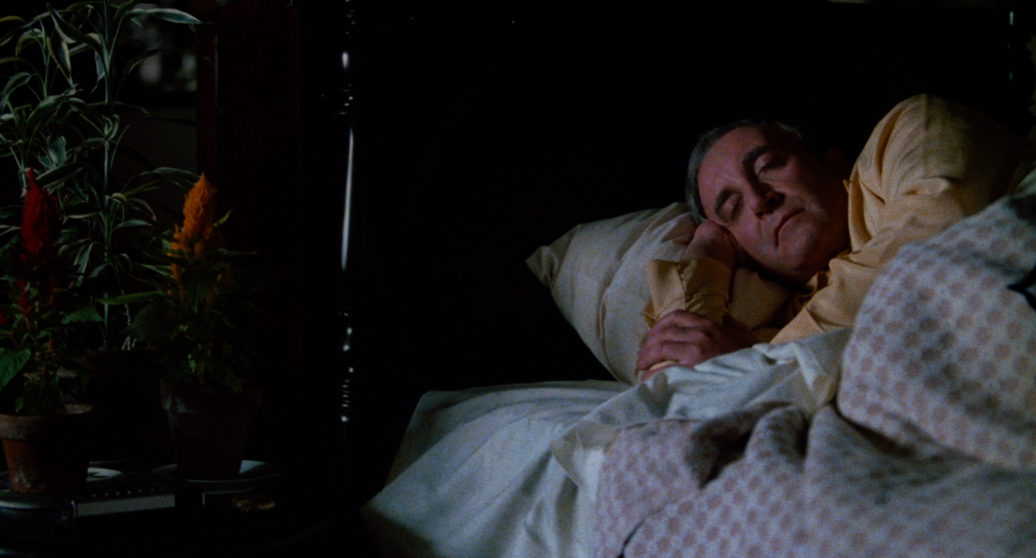 Being There (1979) —  shot,  lighting