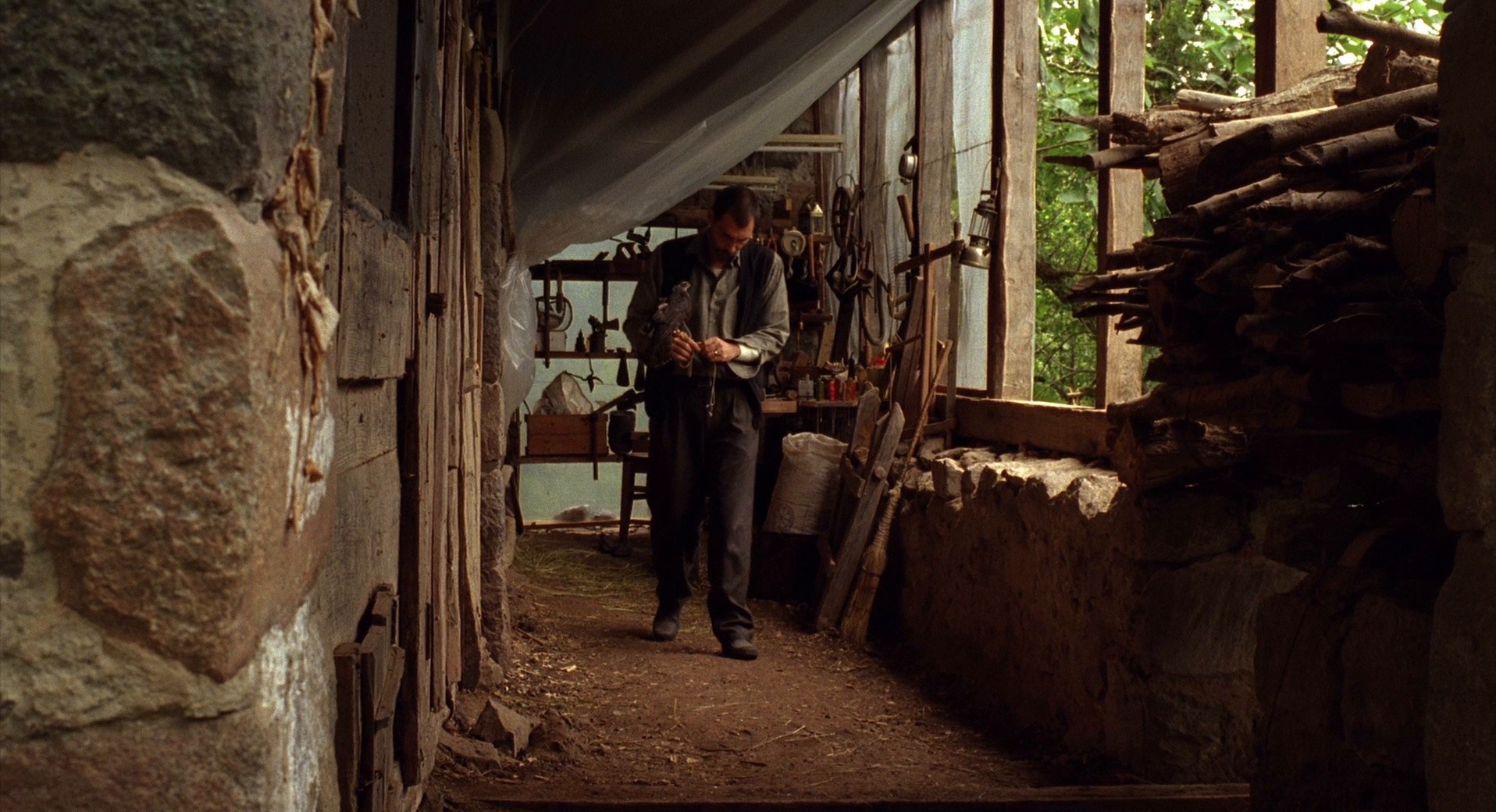 Honey (2010) —  shot,  lighting