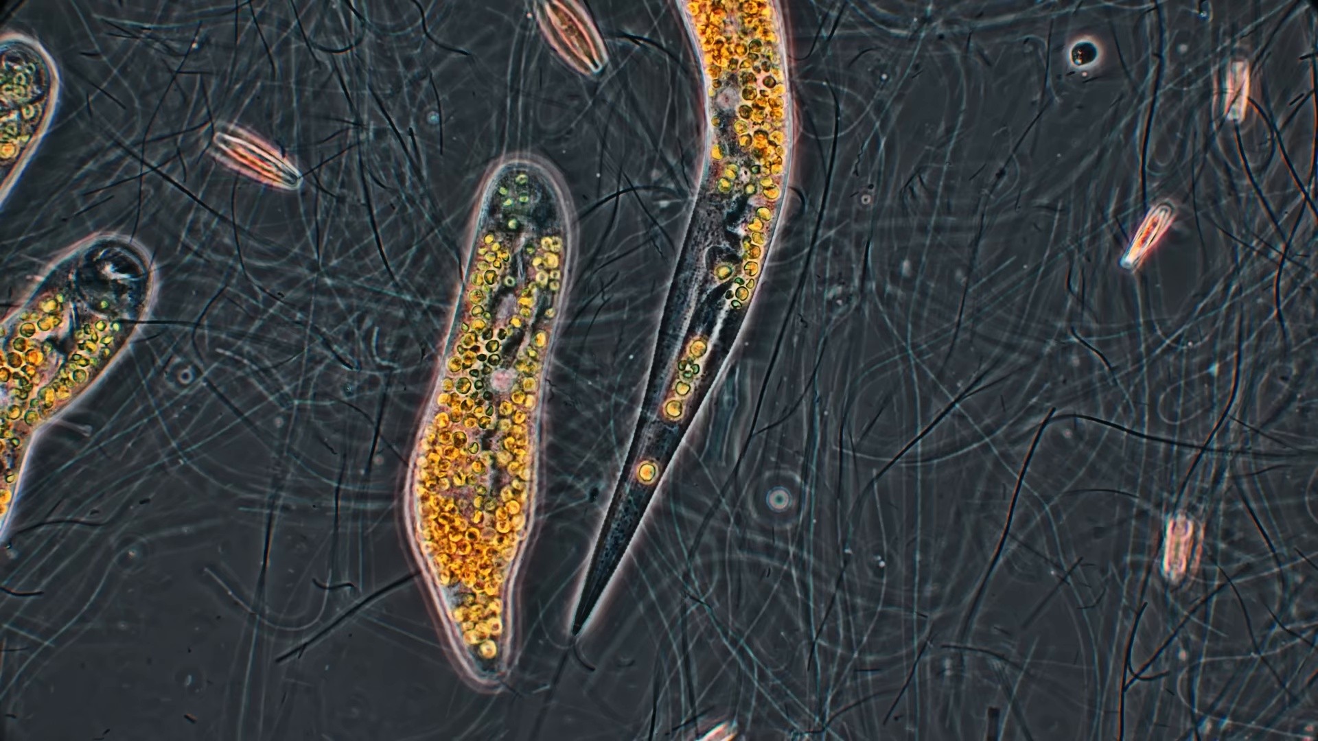 Wet (2024) —  shot,  lighting