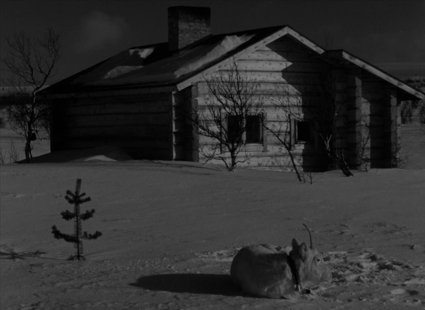 The White Reindeer (1952) —  shot,  lighting