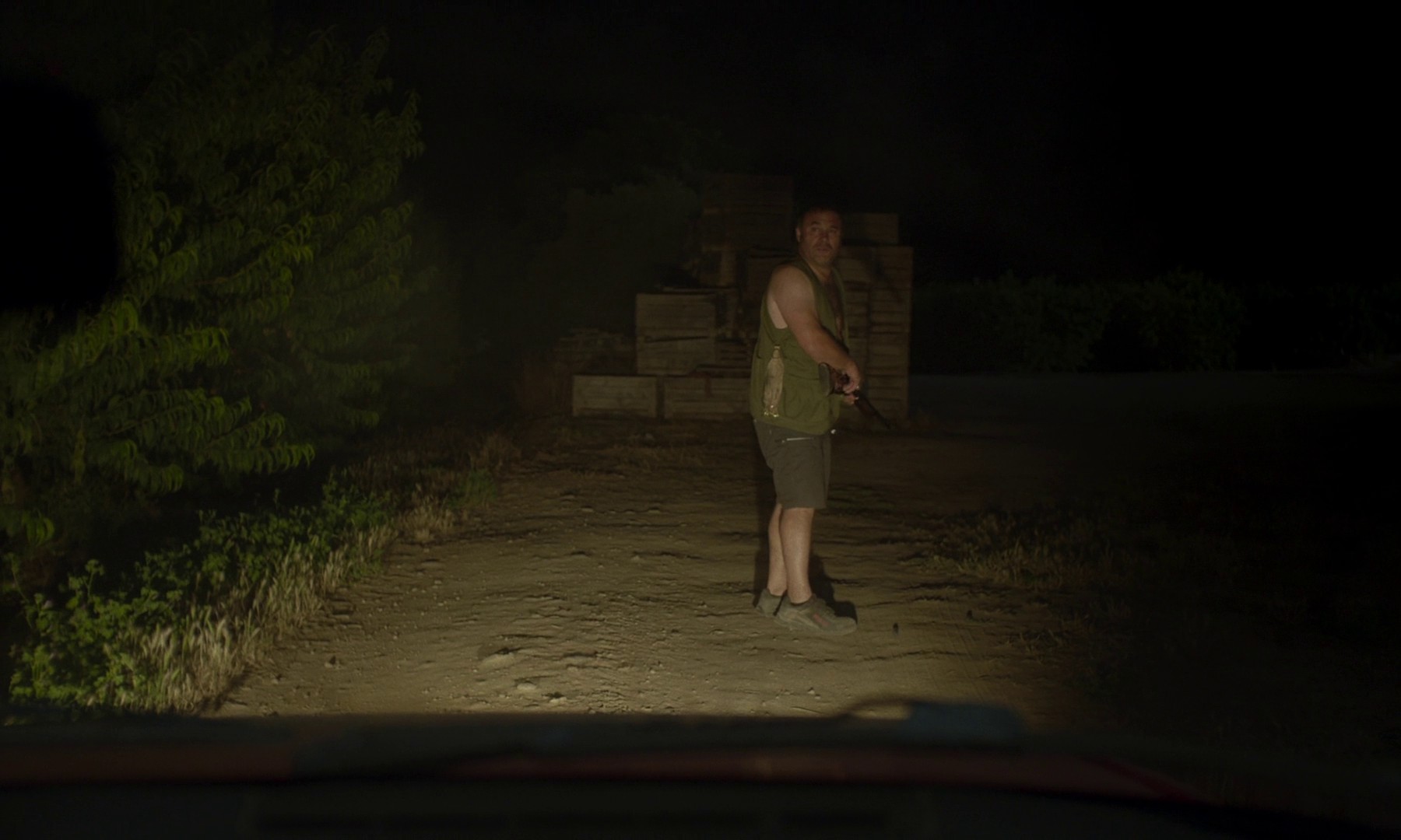 Alcarras (2022) —  shot,  lighting