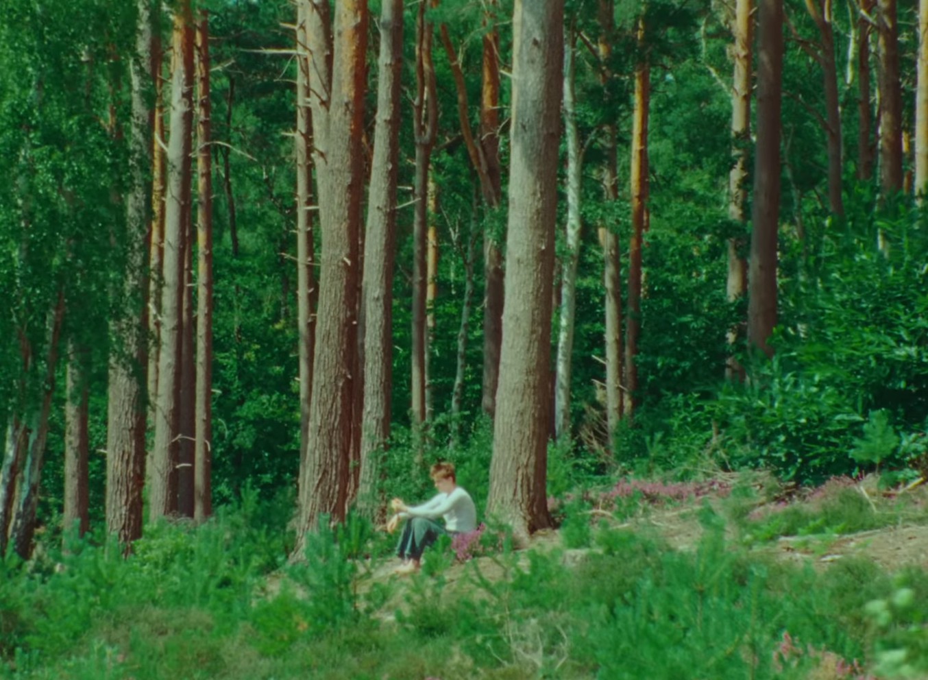 Diving (2023) —  shot,  lighting