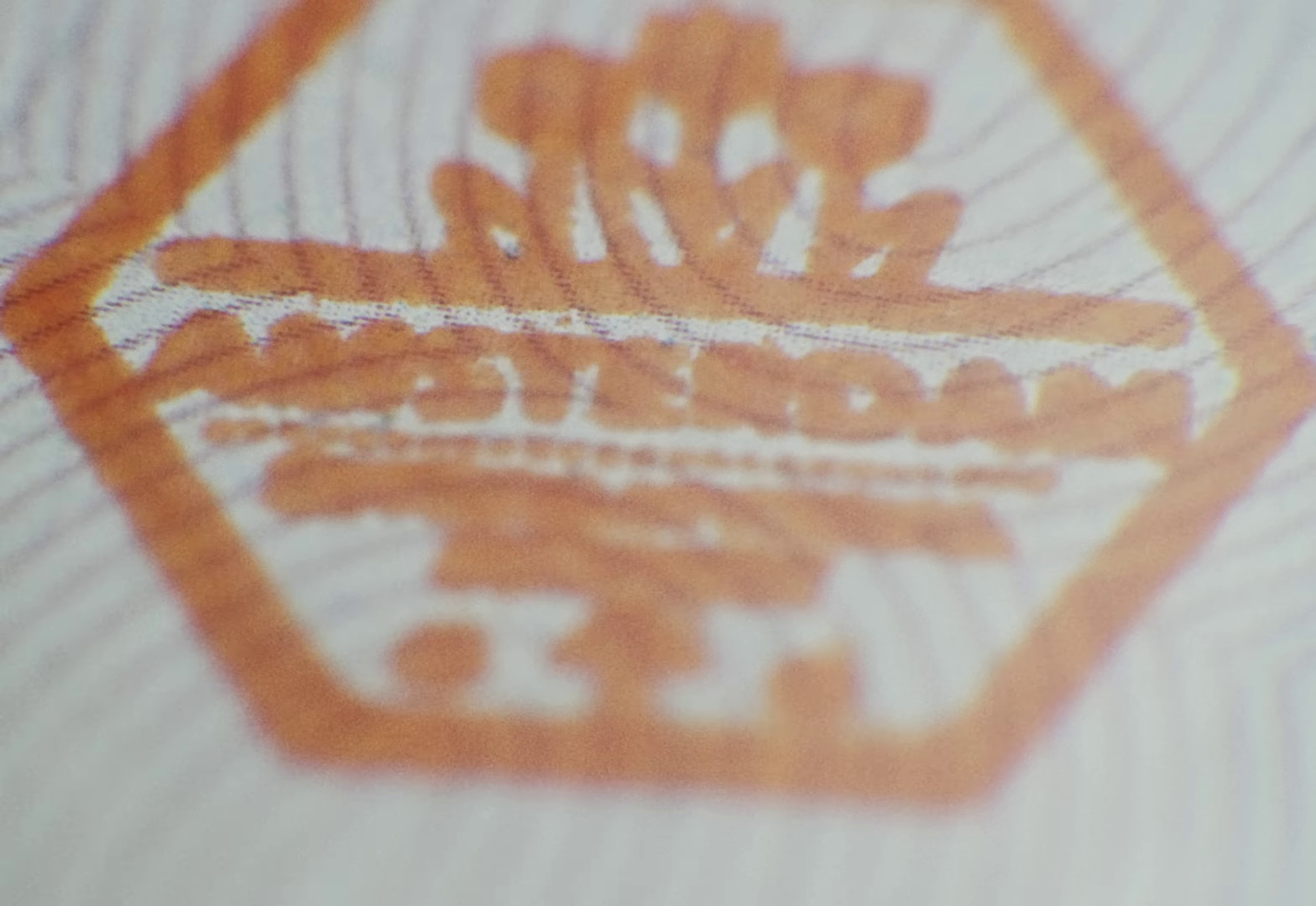 Passport Bros (2023) —  shot,  lighting