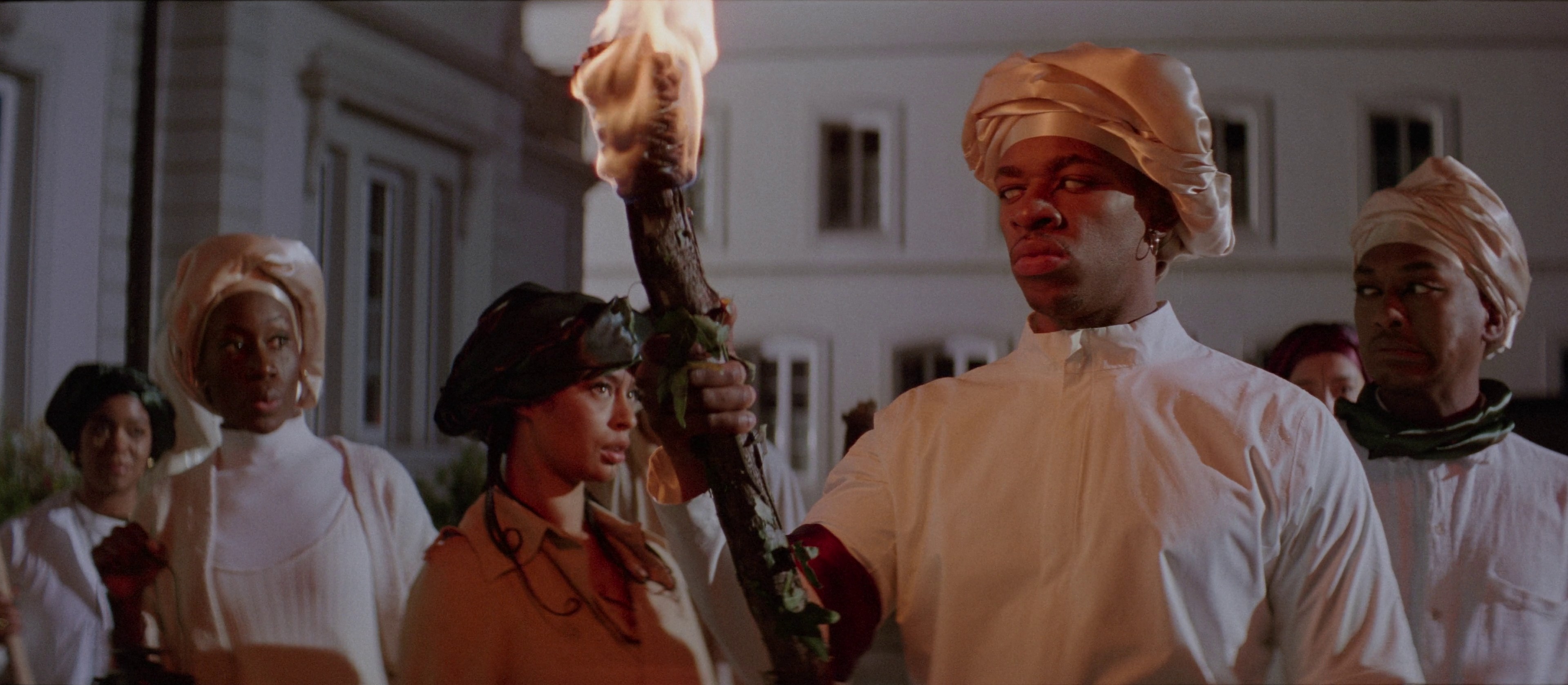 MIGROS - SALVIA ROSMARINUS (2024) —  shot,  lighting