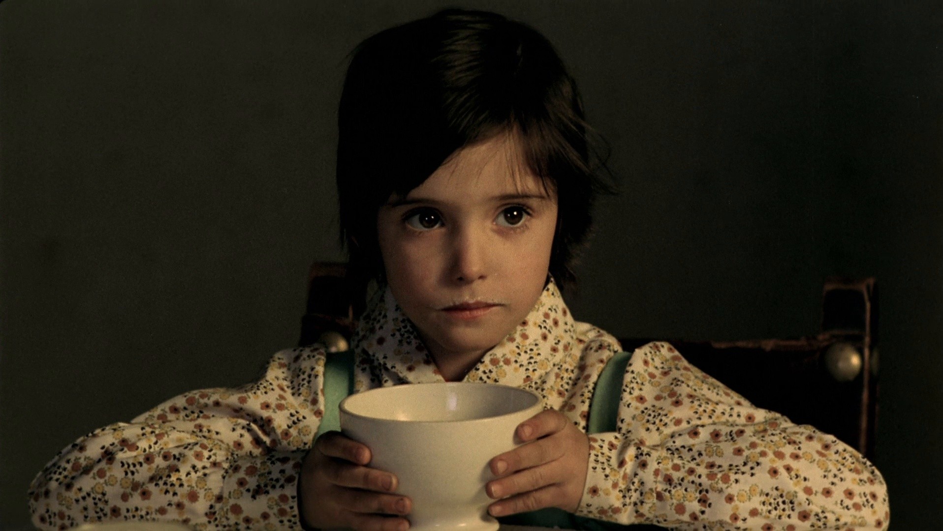 The Spirit of the Beehive (1975) —  shot,  lighting