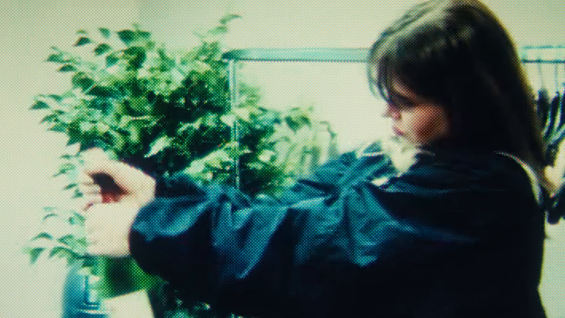 nie vorbei (2024) —  shot,  lighting