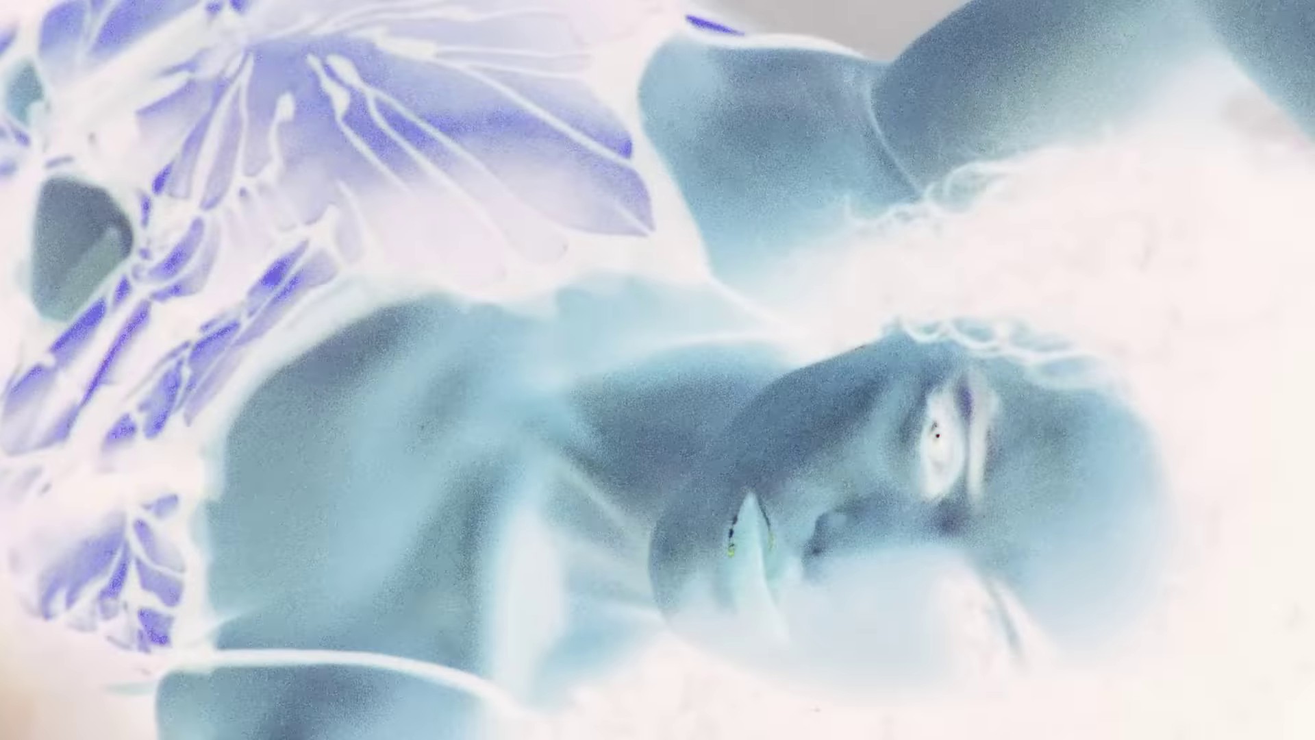 Kiss Me (2023) —  shot,  lighting