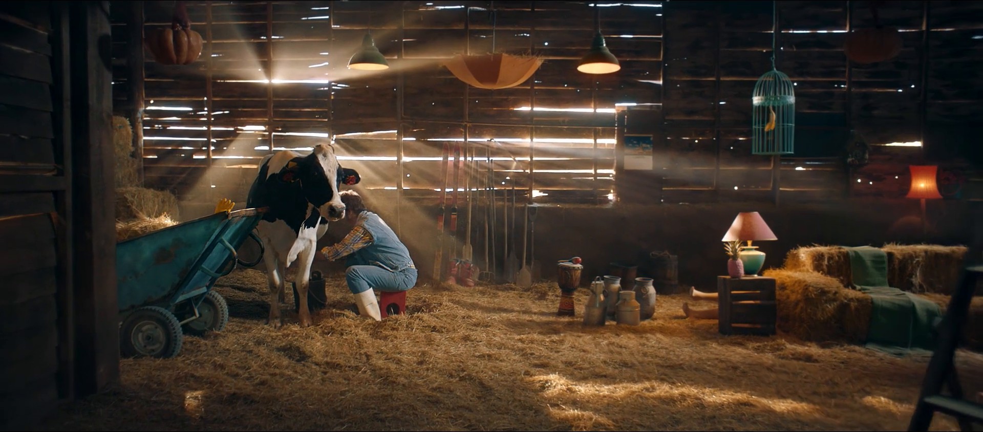 CHOCO JOY - FARMER (2020) —  shot,  lighting