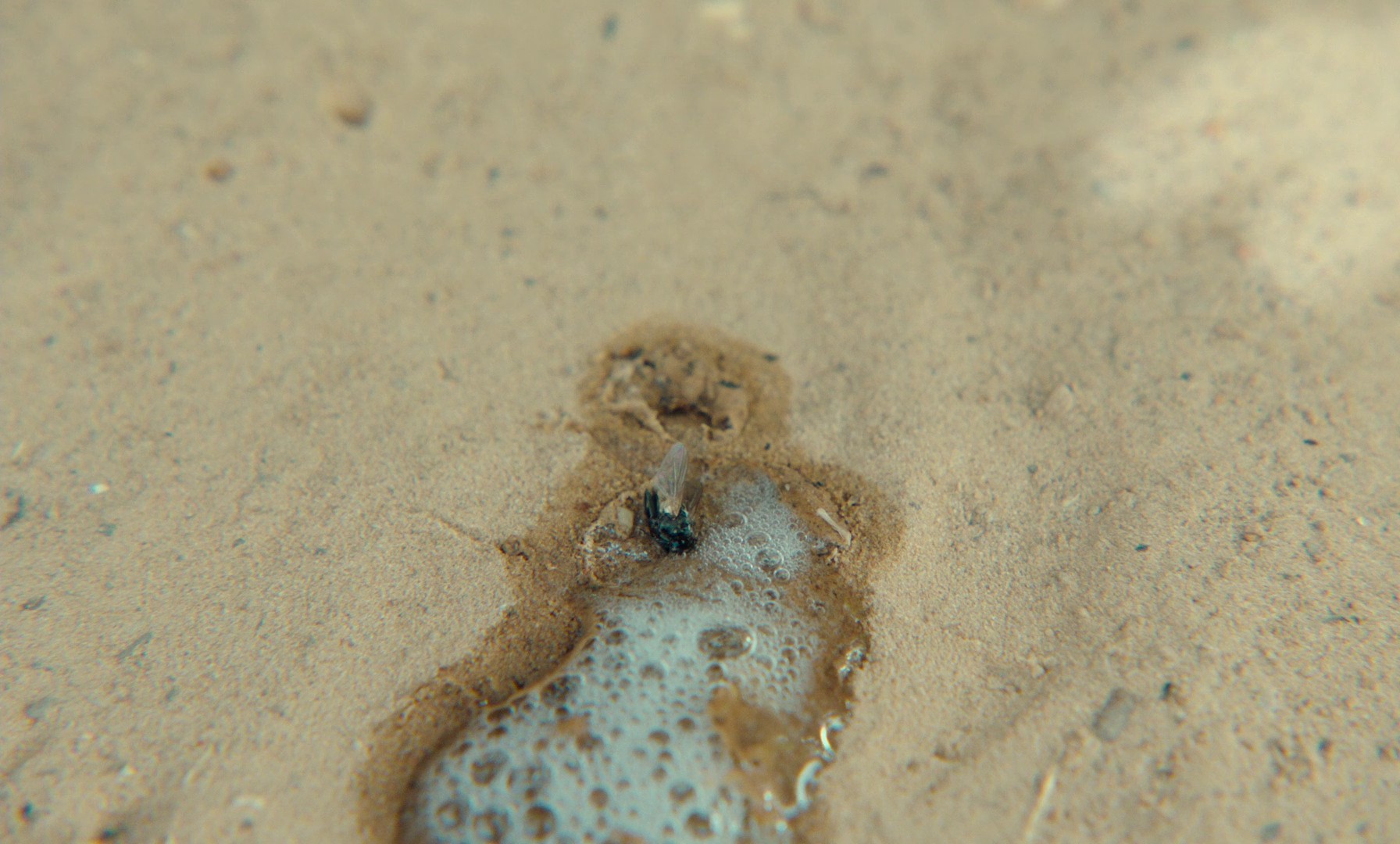 Banel & Adama (2023) —  shot,  lighting