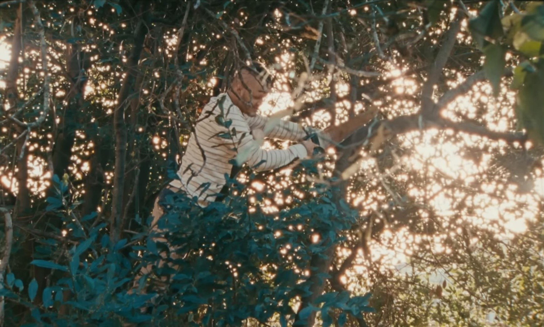 Ankles (2025) —  shot,  lighting