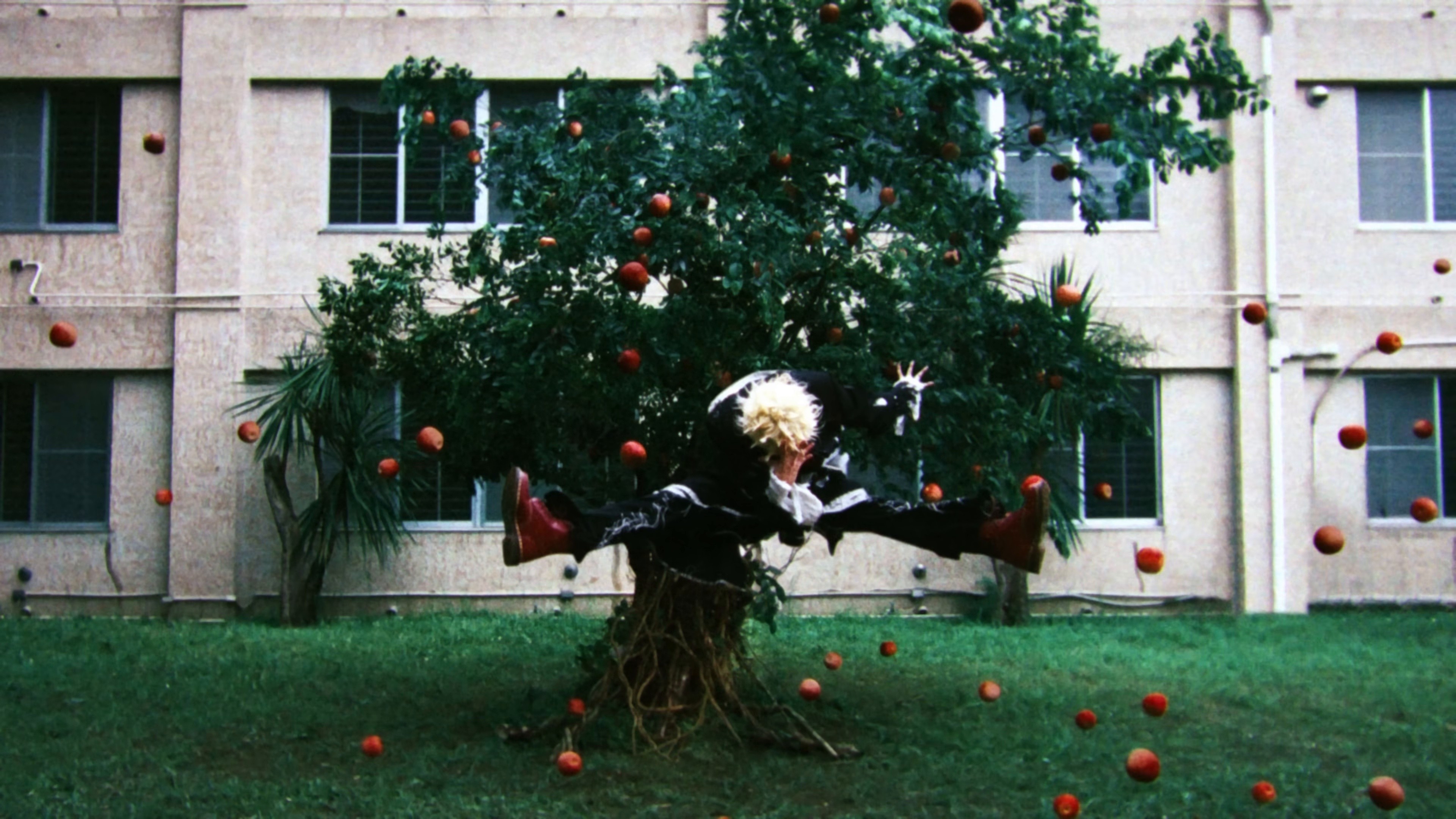 Young & Reckless (2025) —  shot,  lighting