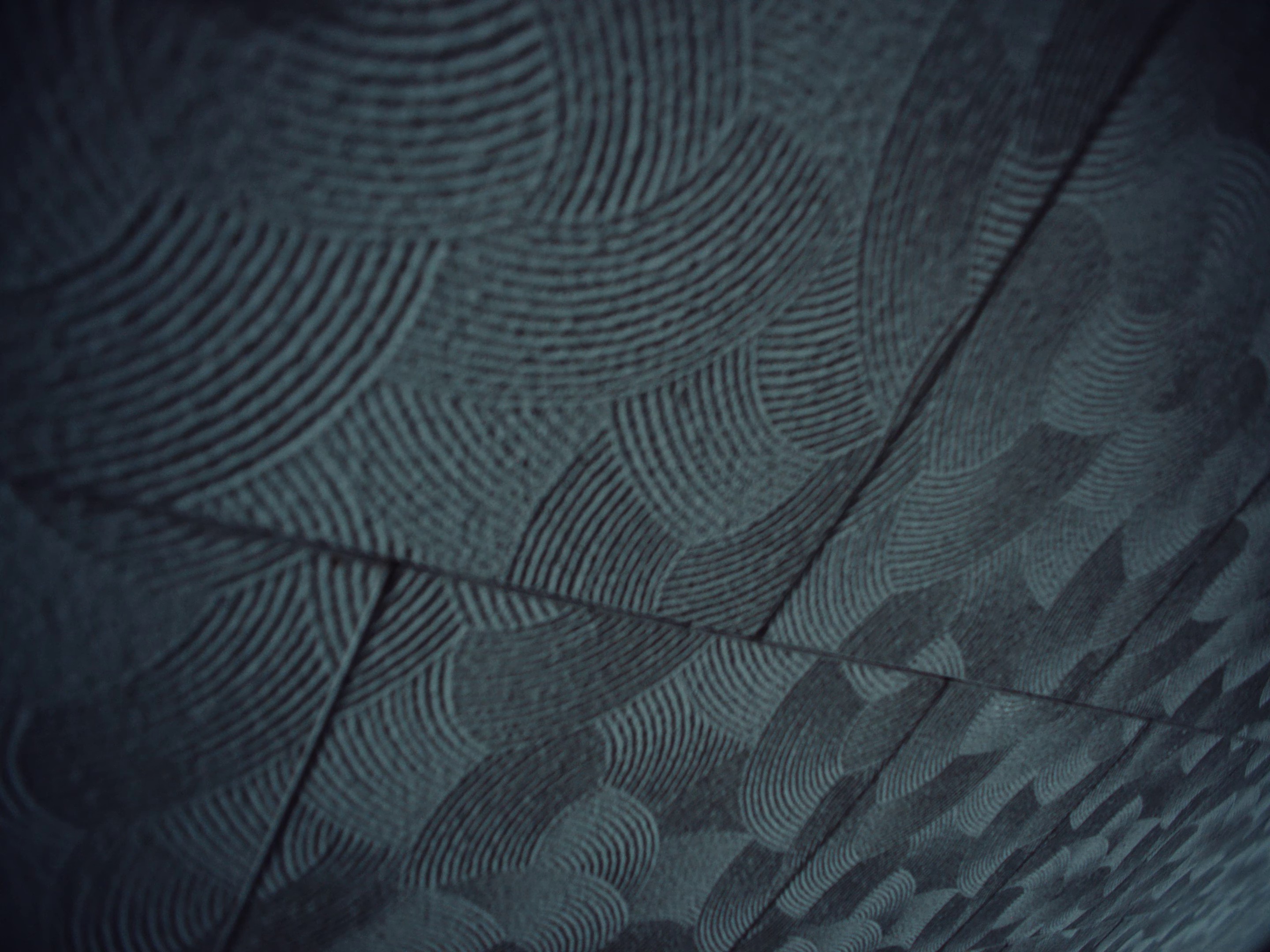 Get Me Out (2024) —  shot,  lighting