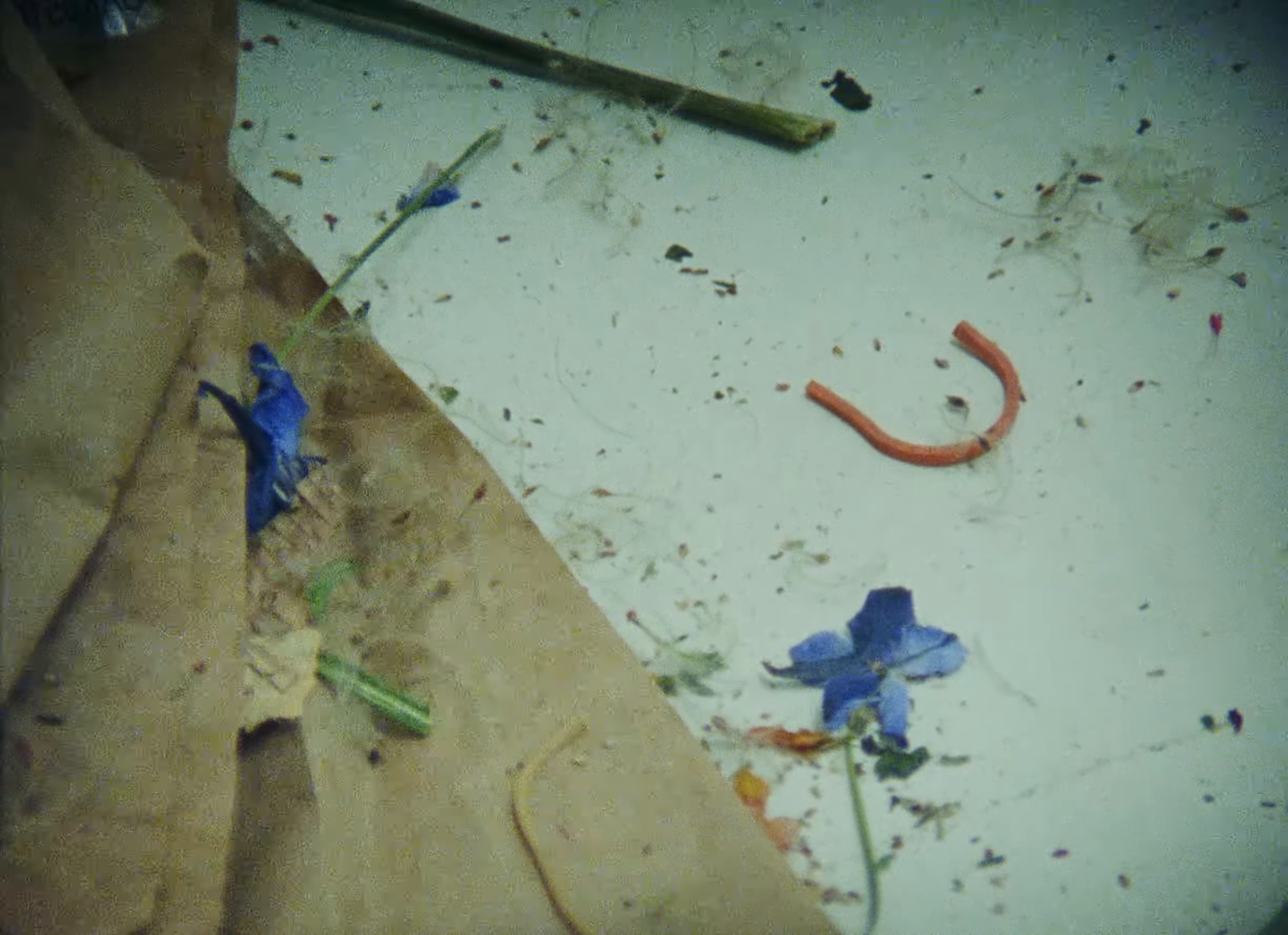 Let Me Know (2024) —  shot,  lighting